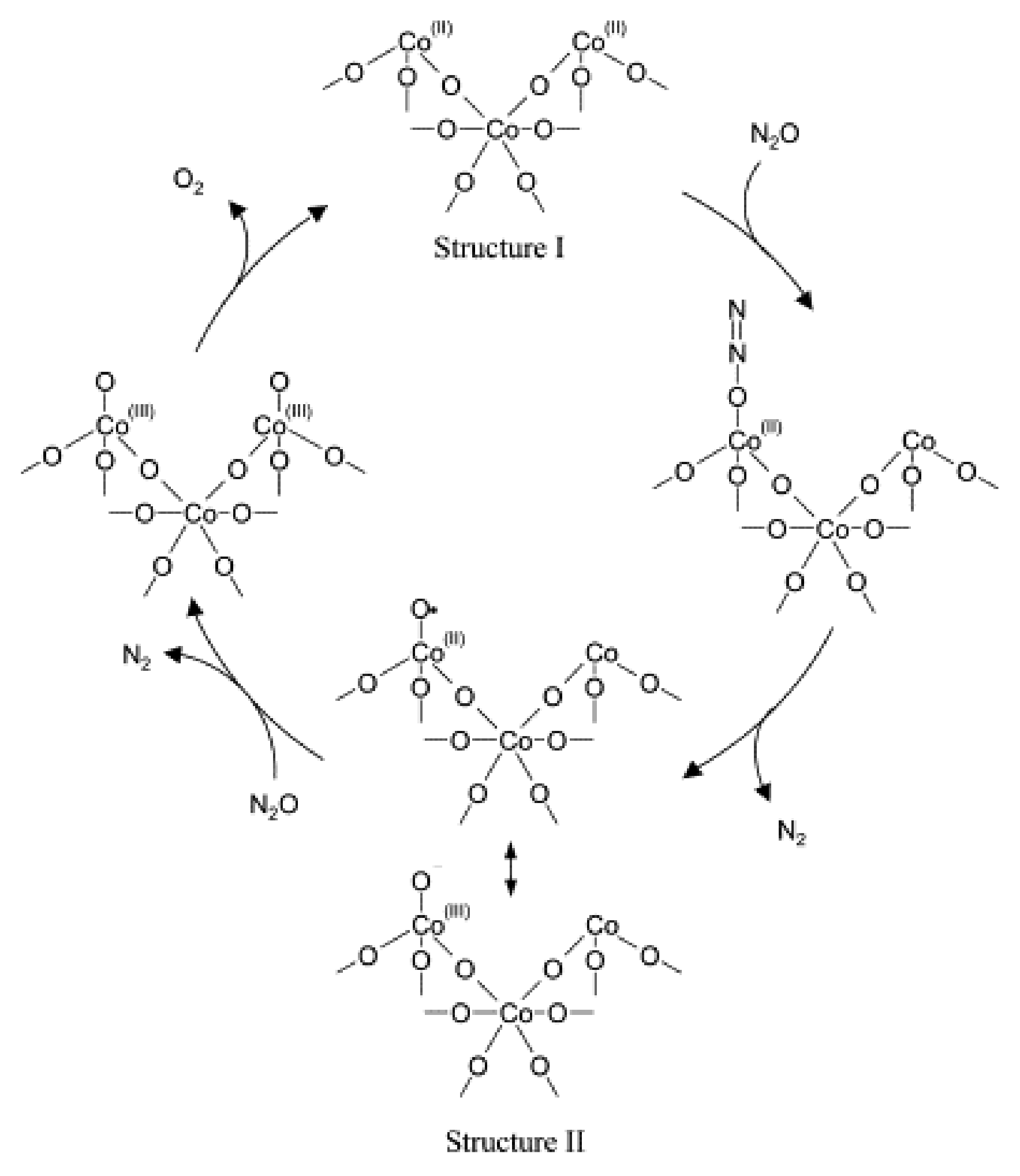 Catalysts 11 00419 g003
