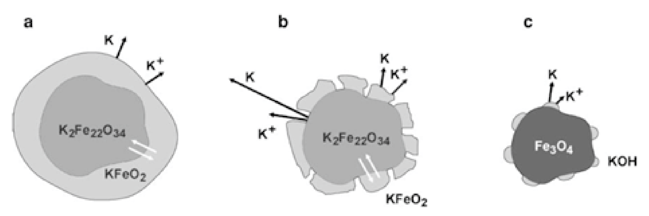 Catalysts 11 00419 g007