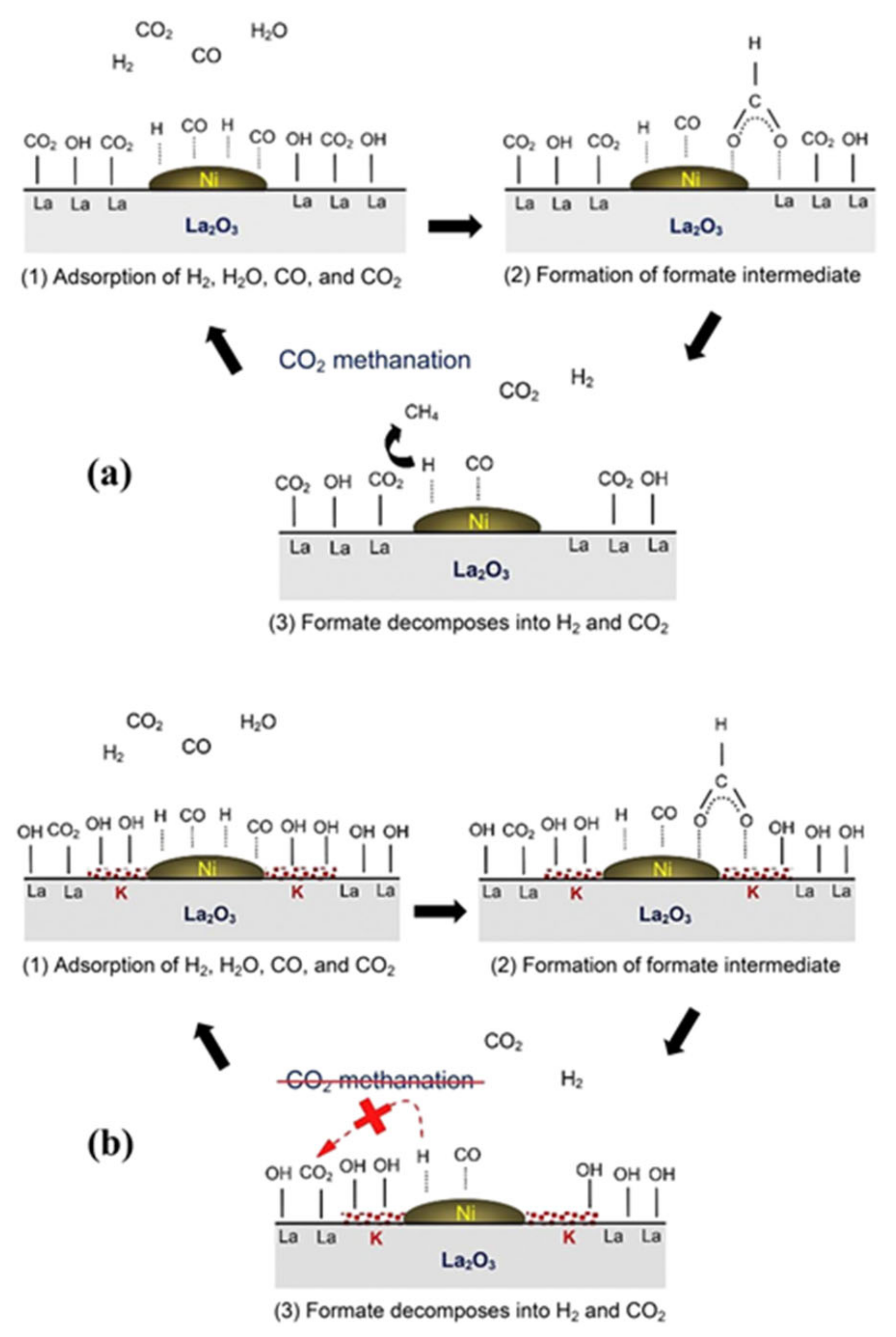Catalysts 11 00419 g014