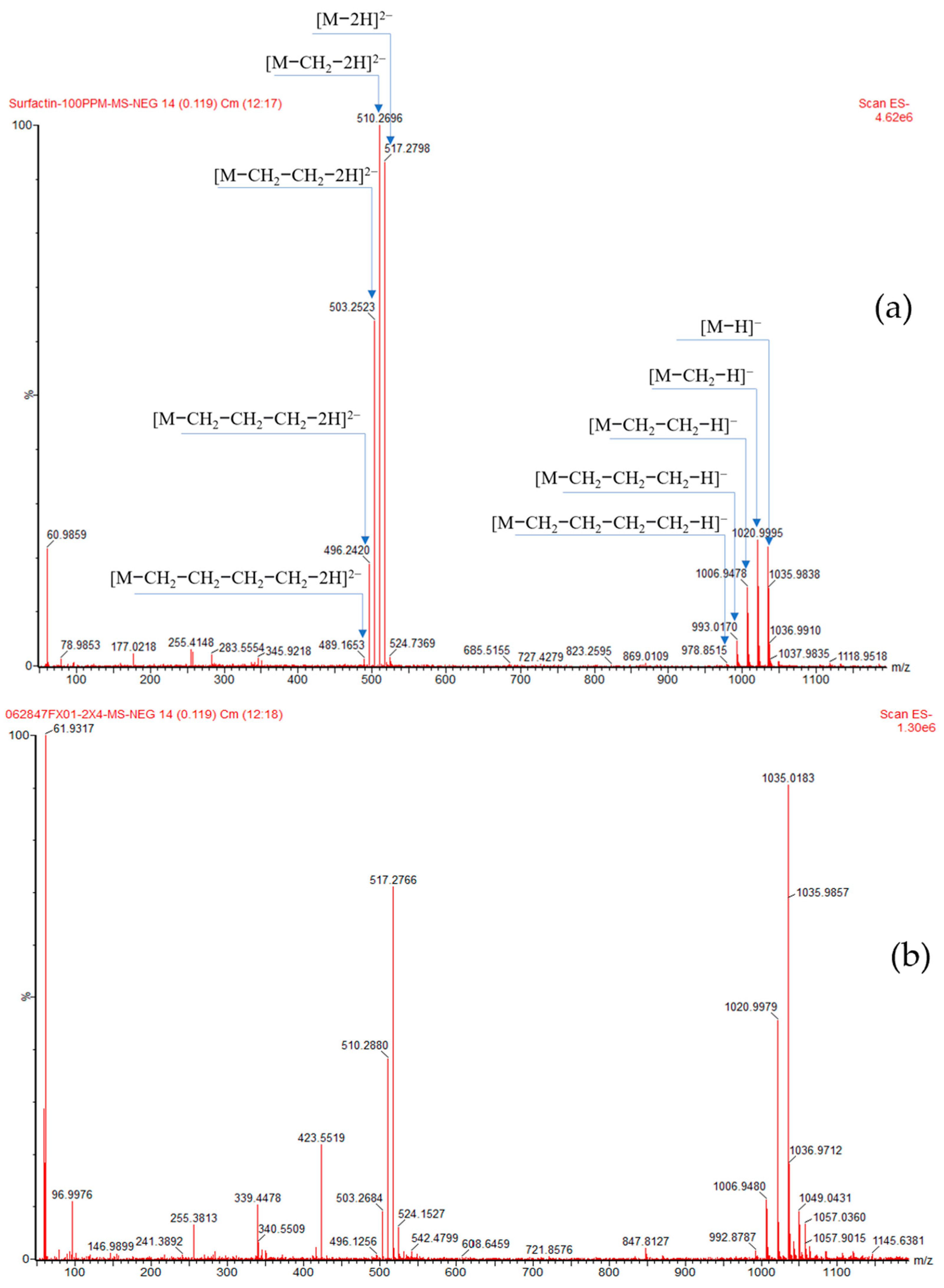 Catalysts 11 00456 g005 Catalysts 11 00456 g005