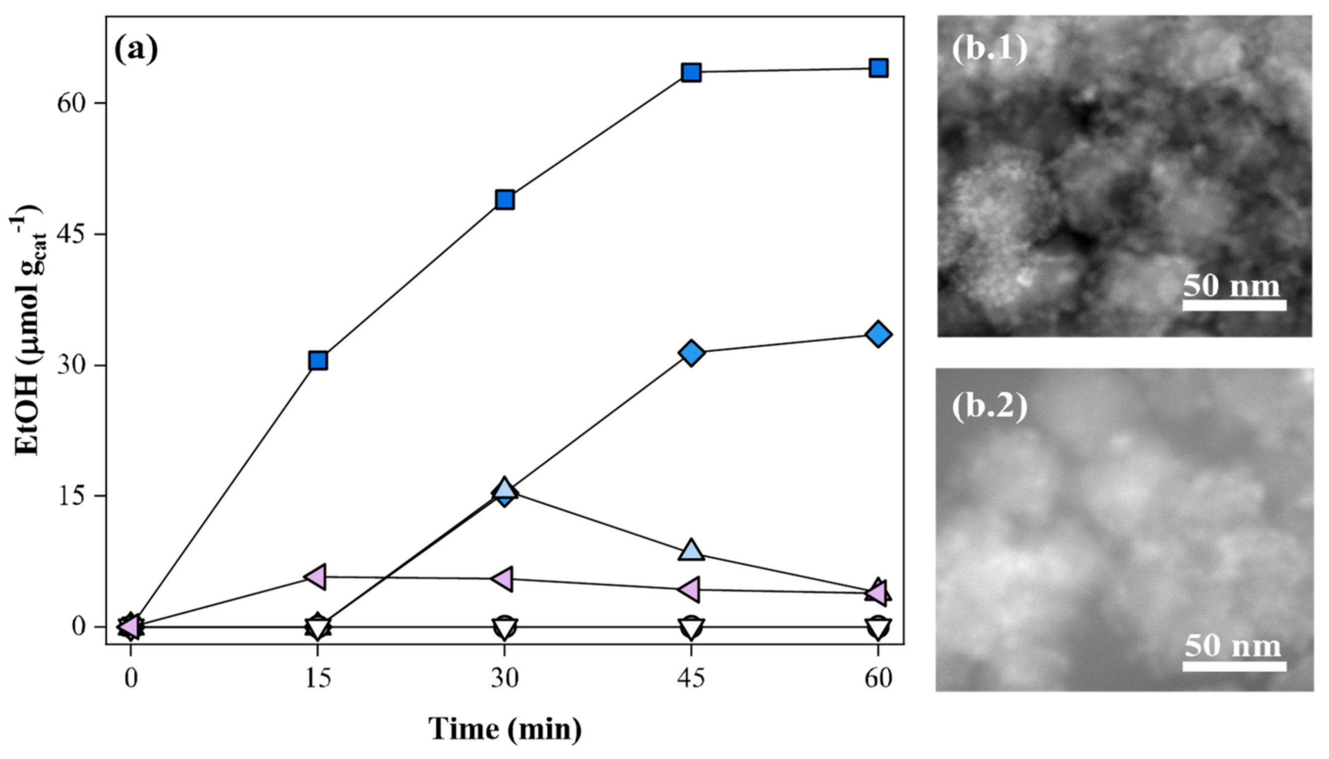 Catalysts 11 00461 g009 Catalysts 11 00461 g009