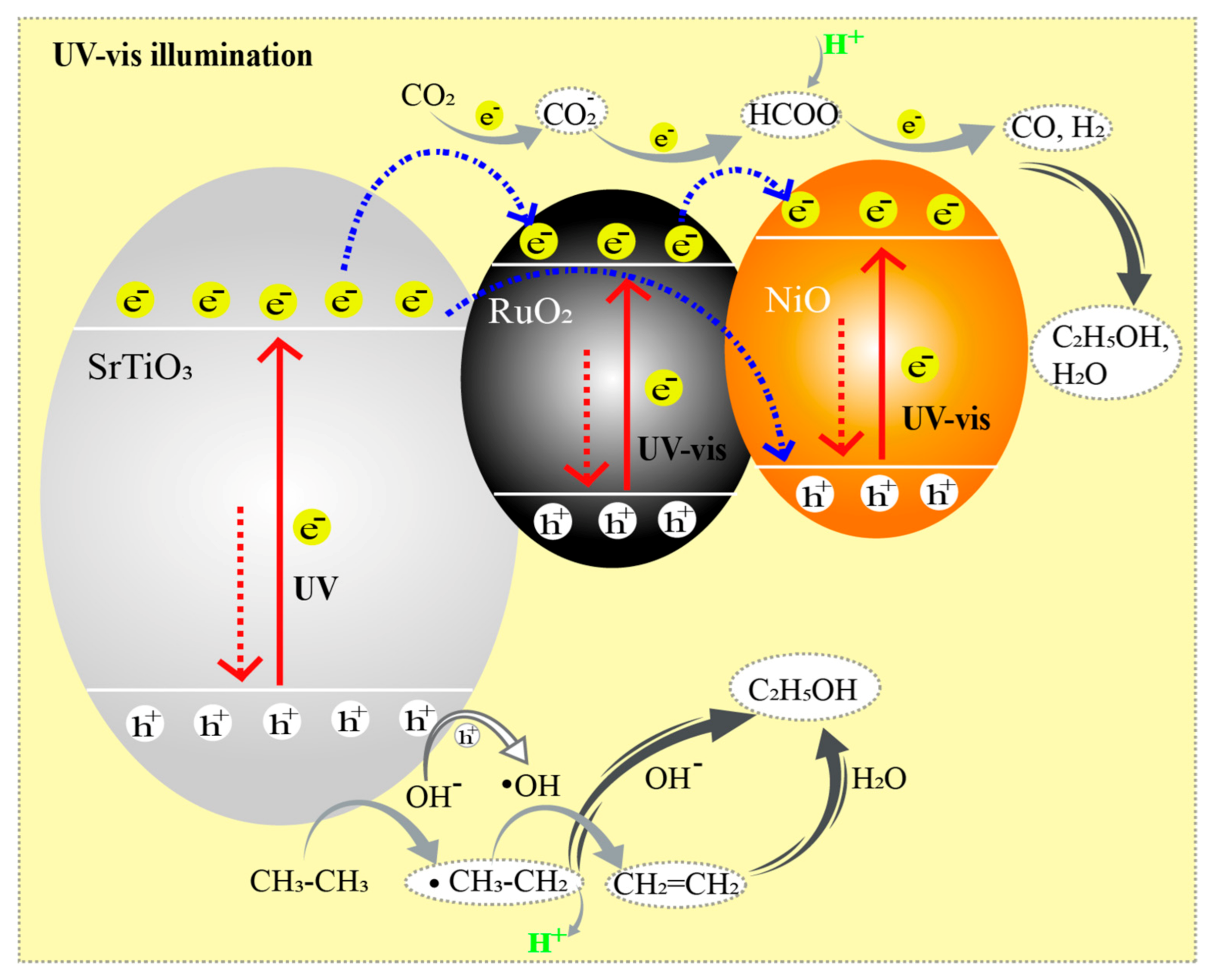 Catalysts 11 00461 g011 Catalysts 11 00461 g011