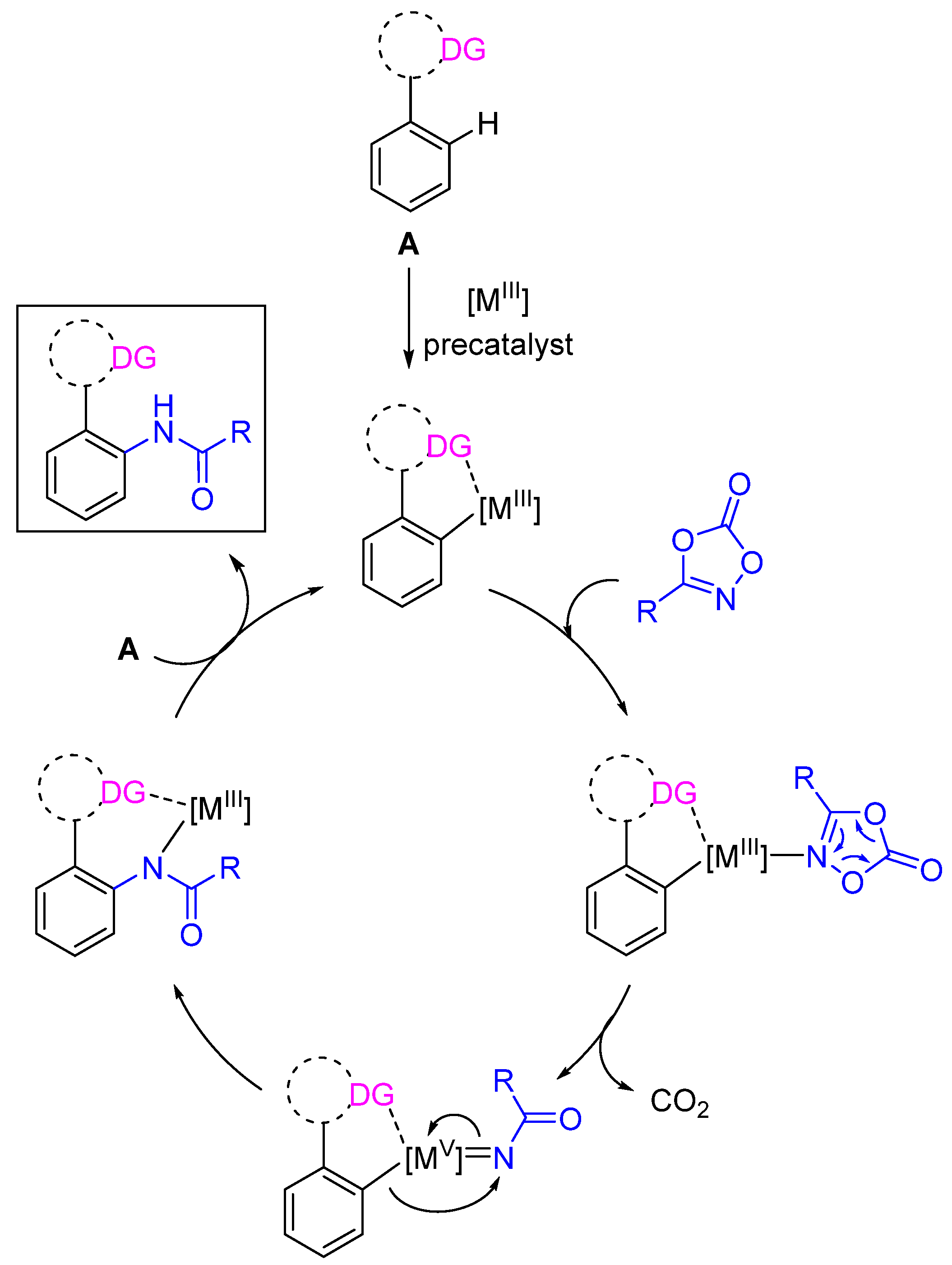 Catalysts 11 00471 g001