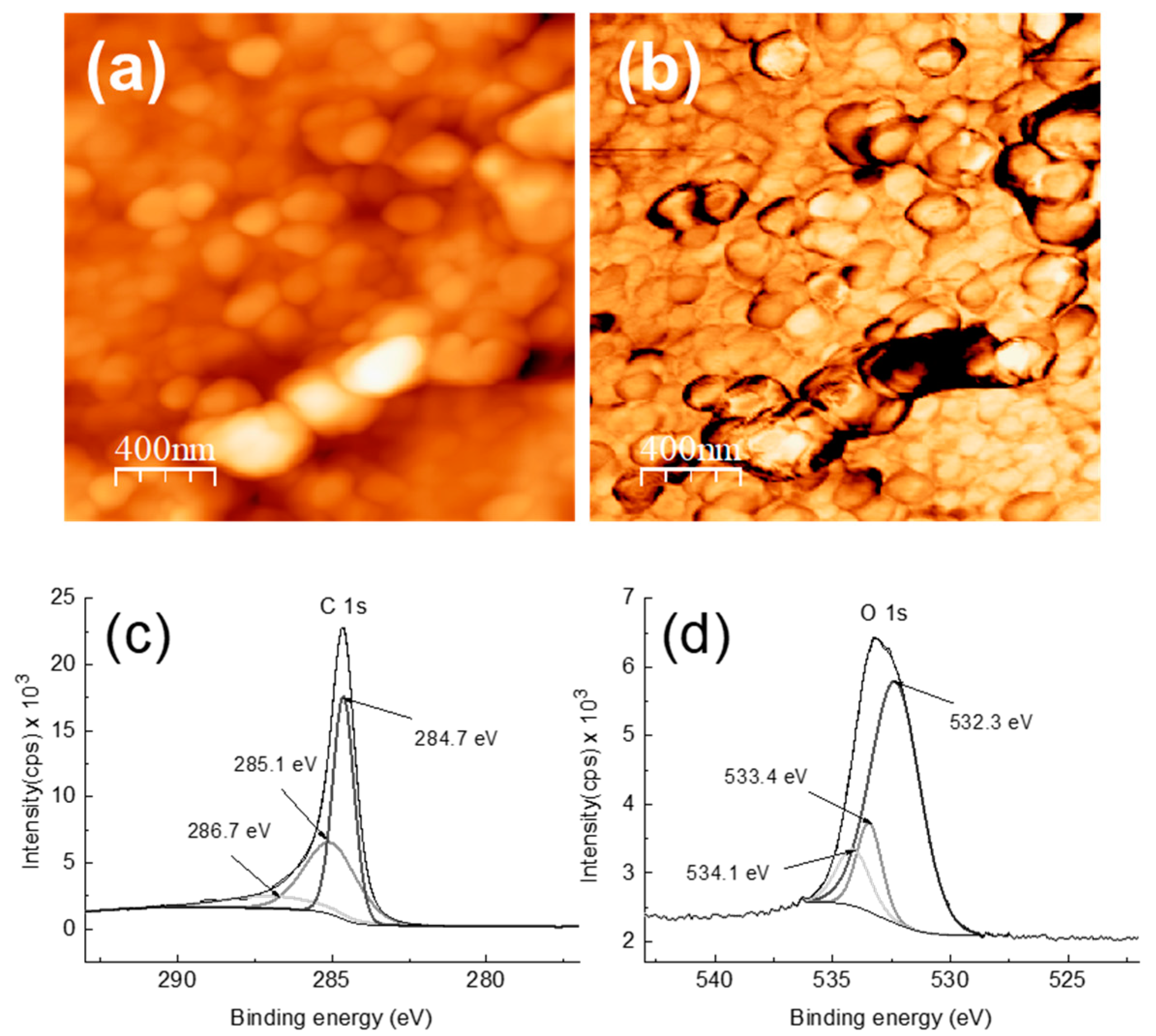 Catalysts 11 00481 g001