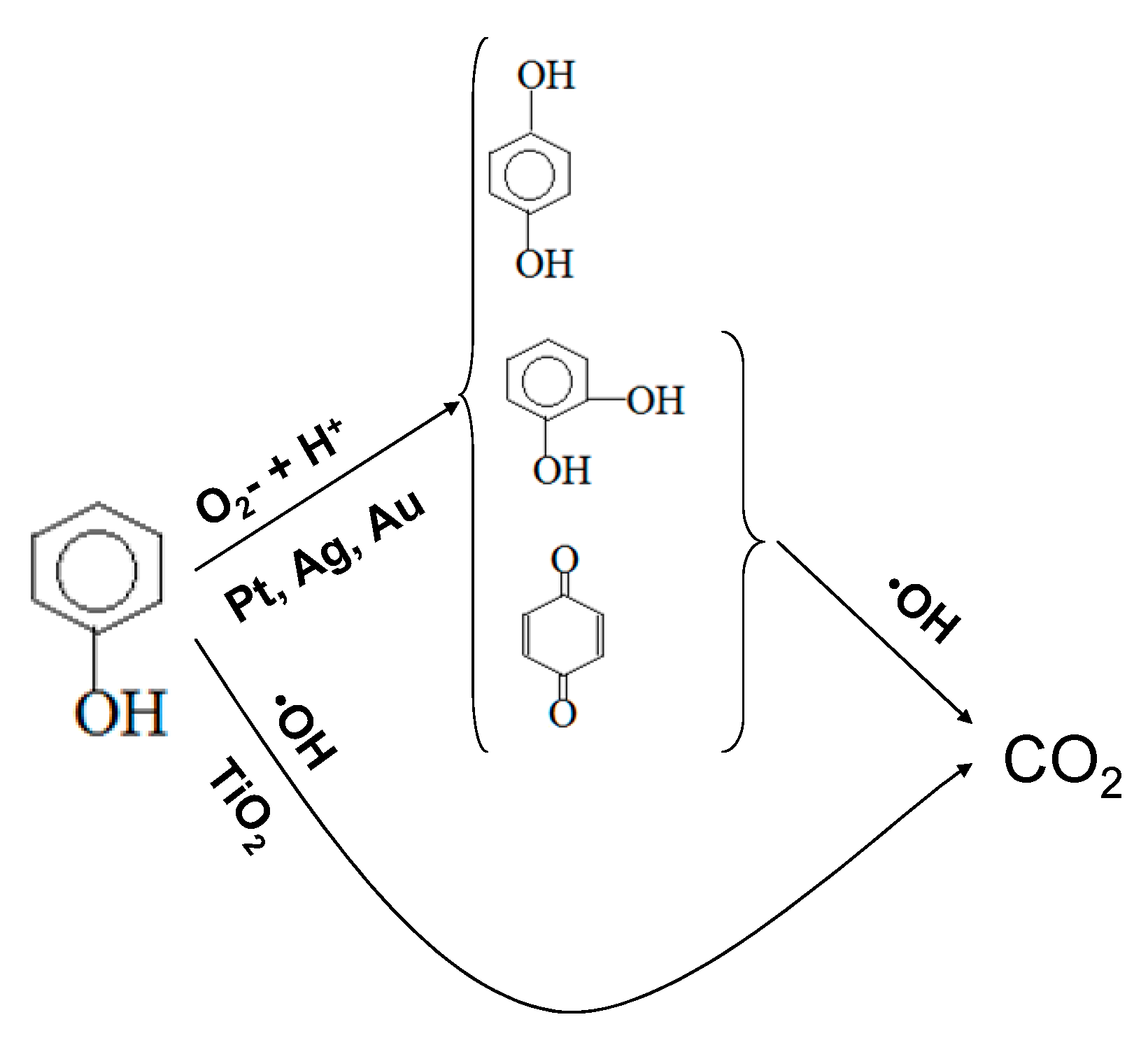 Catalysts 11 00487 g013 Catalysts 11 00487 g013