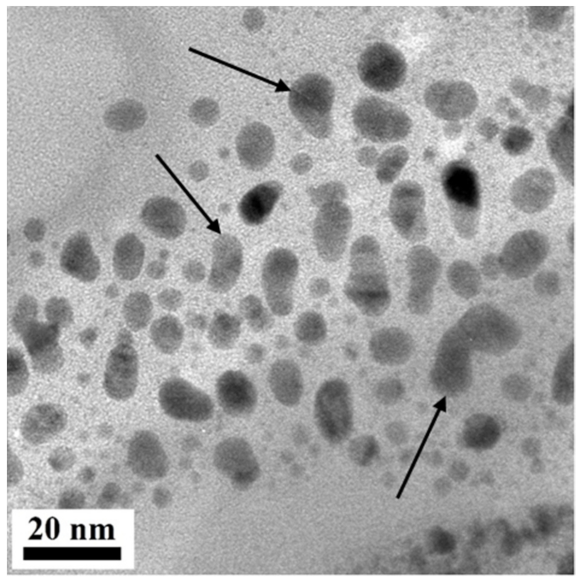 Catalysts 11 00491 g008
