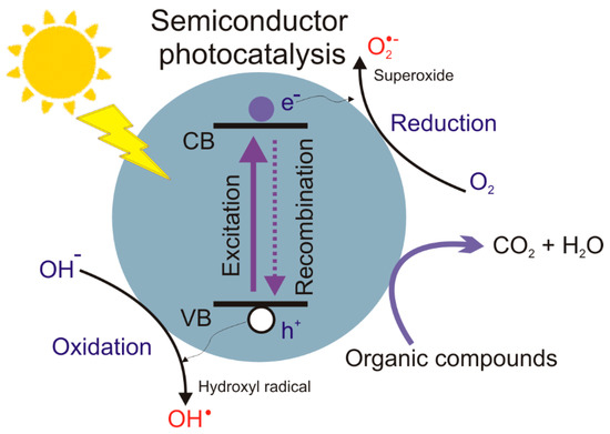 Catalysts 11 00504 g002
