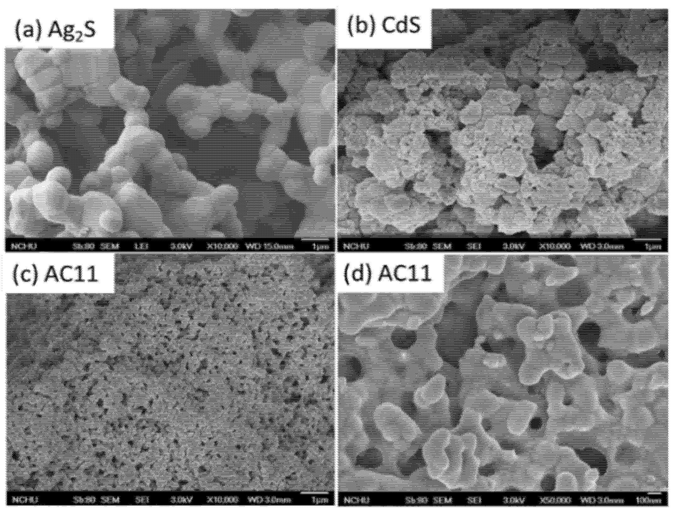 Catalysts 11 00507 g001
