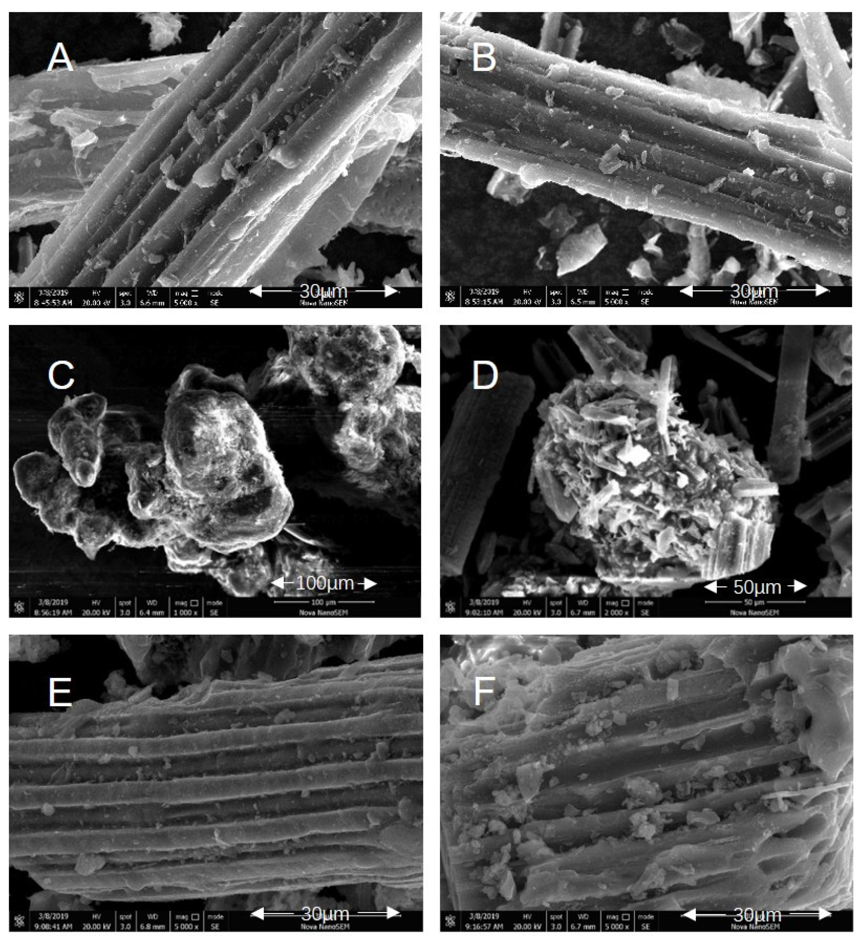 Catalysts 11 00508 g001