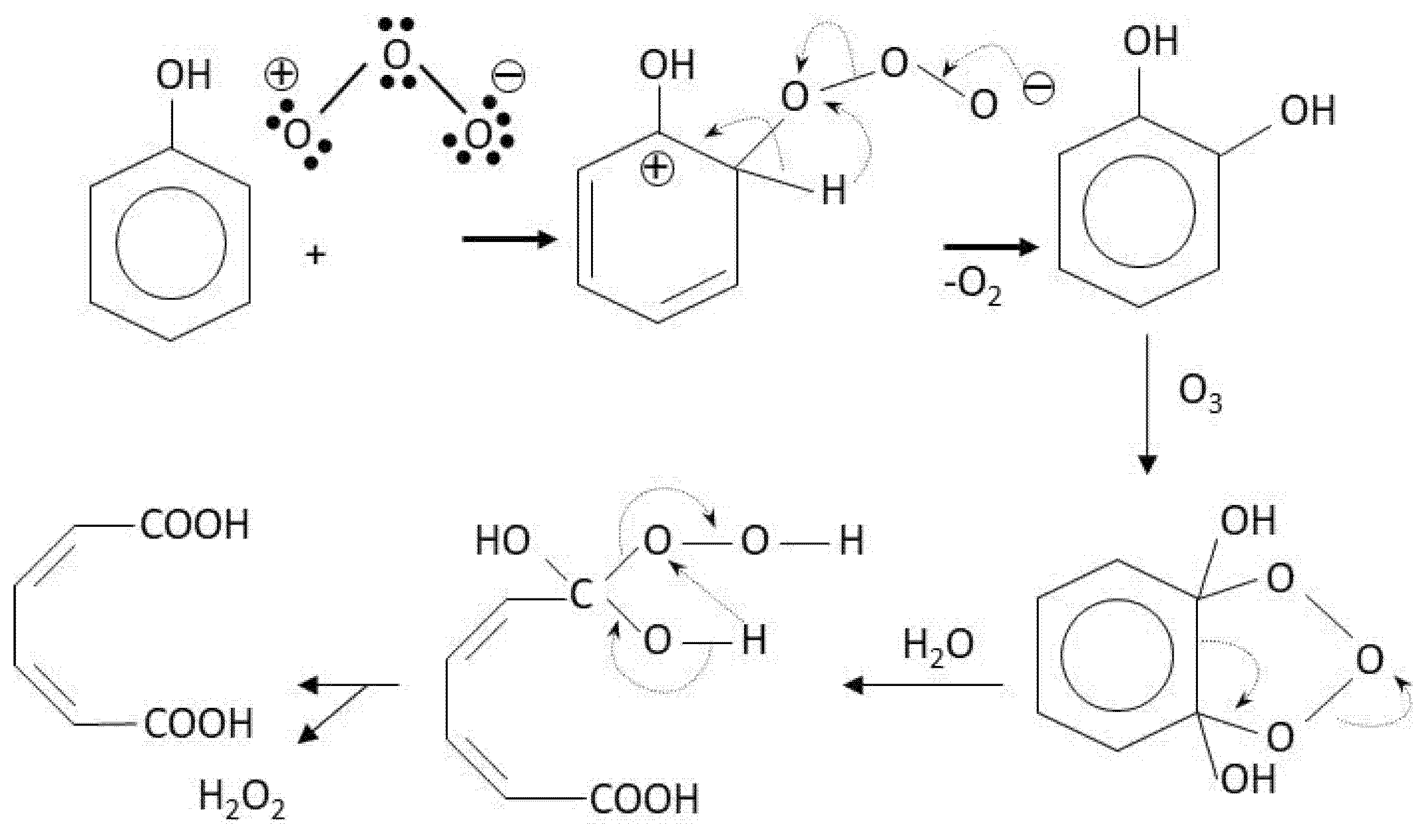 Catalysts 11 00521 sch004