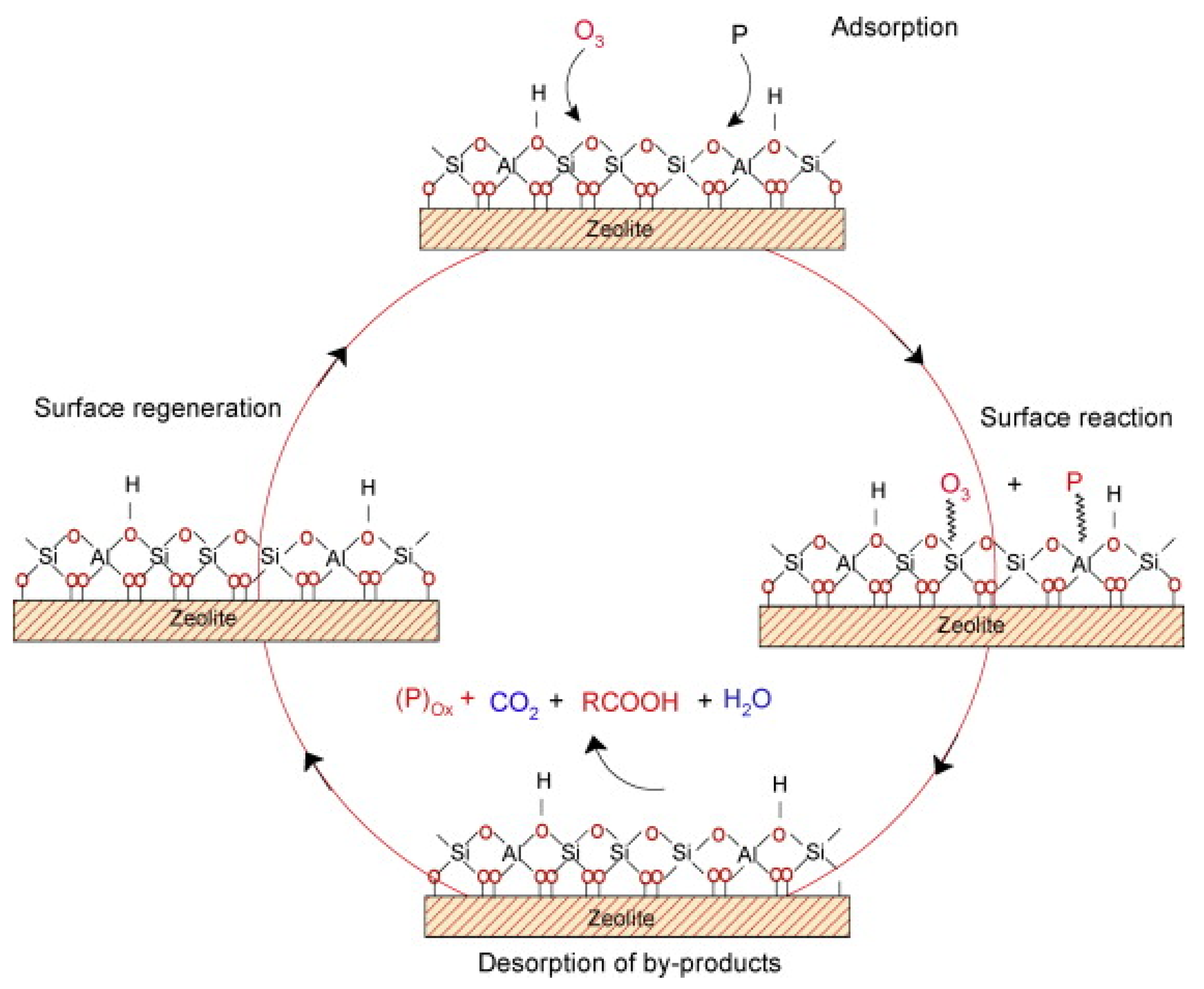 Catalysts 11 00521 sch006