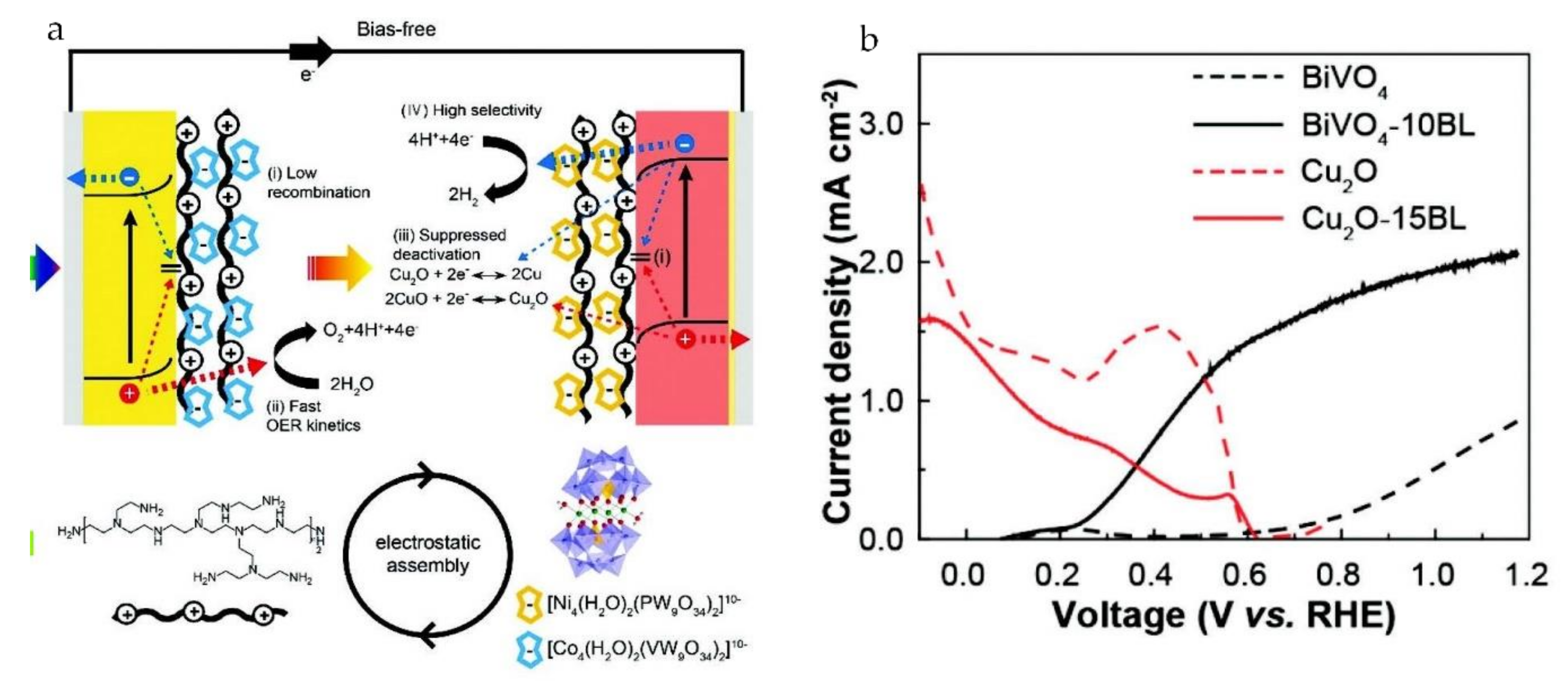 Catalysts 11 00524 g011