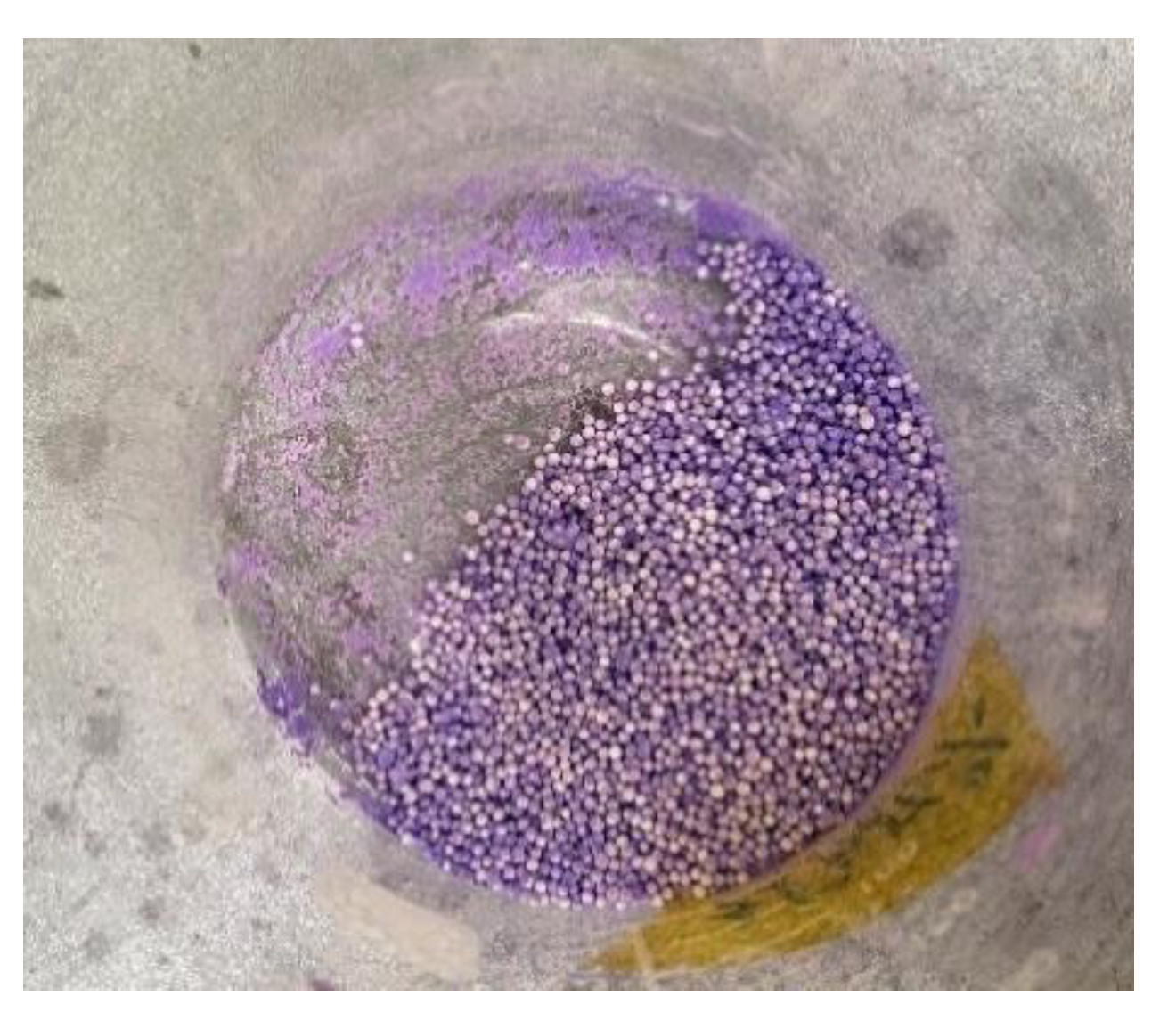 Catalysts 11 00528 g008