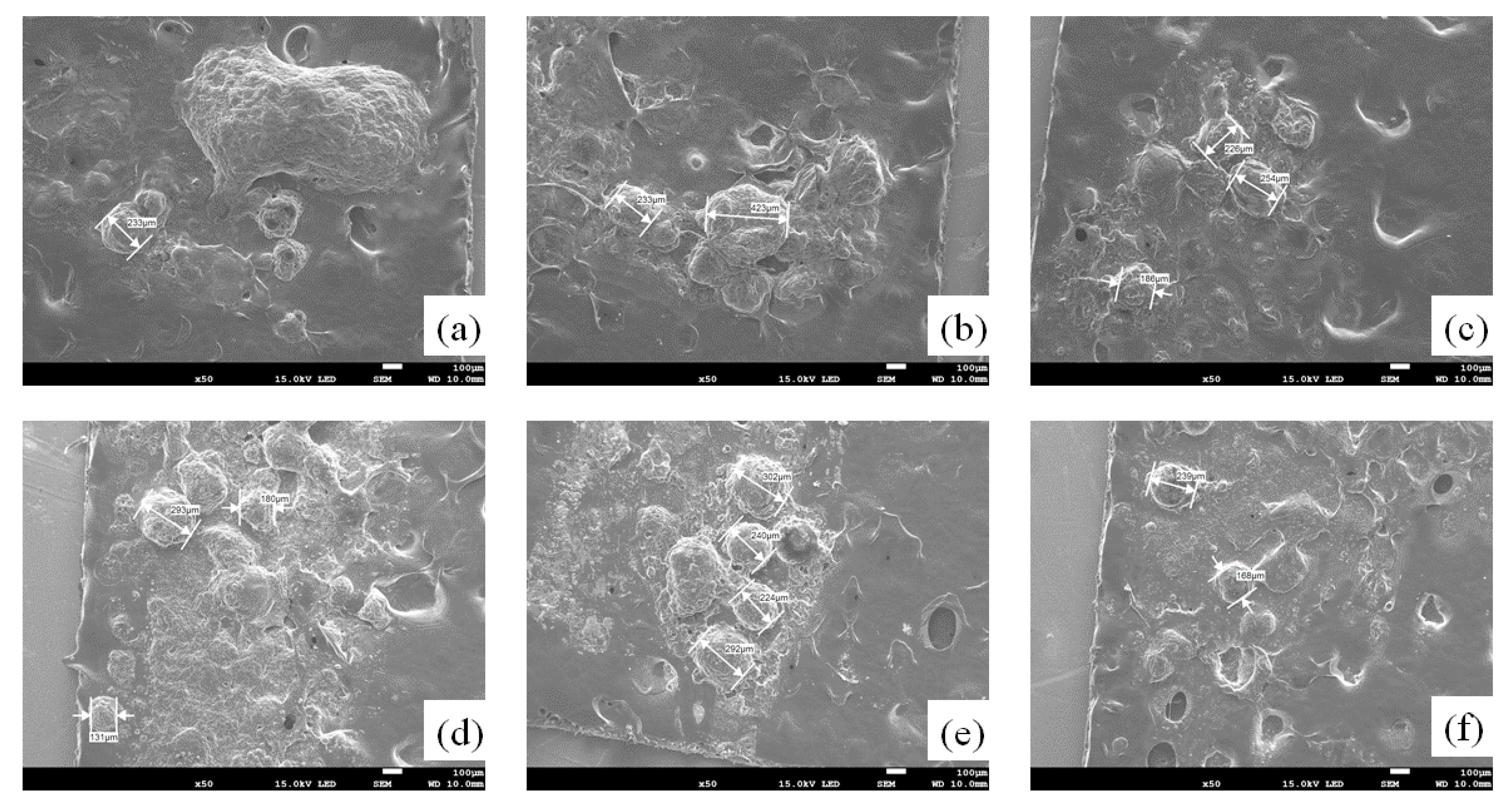 Catalysts 11 00528 g012