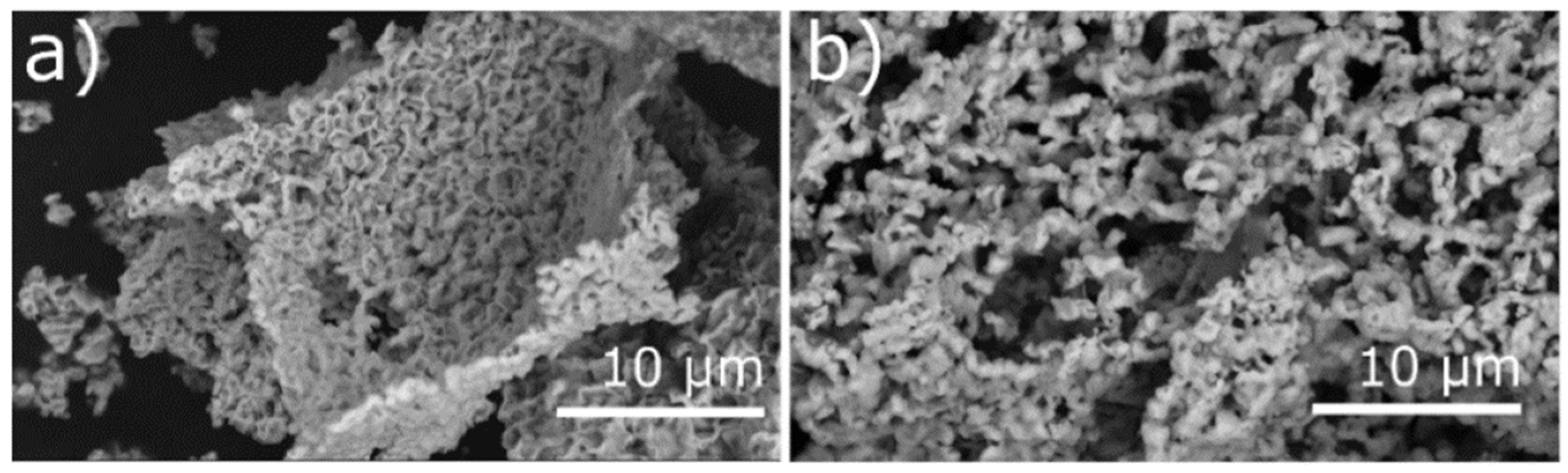 Catalysts 11 00542 g002