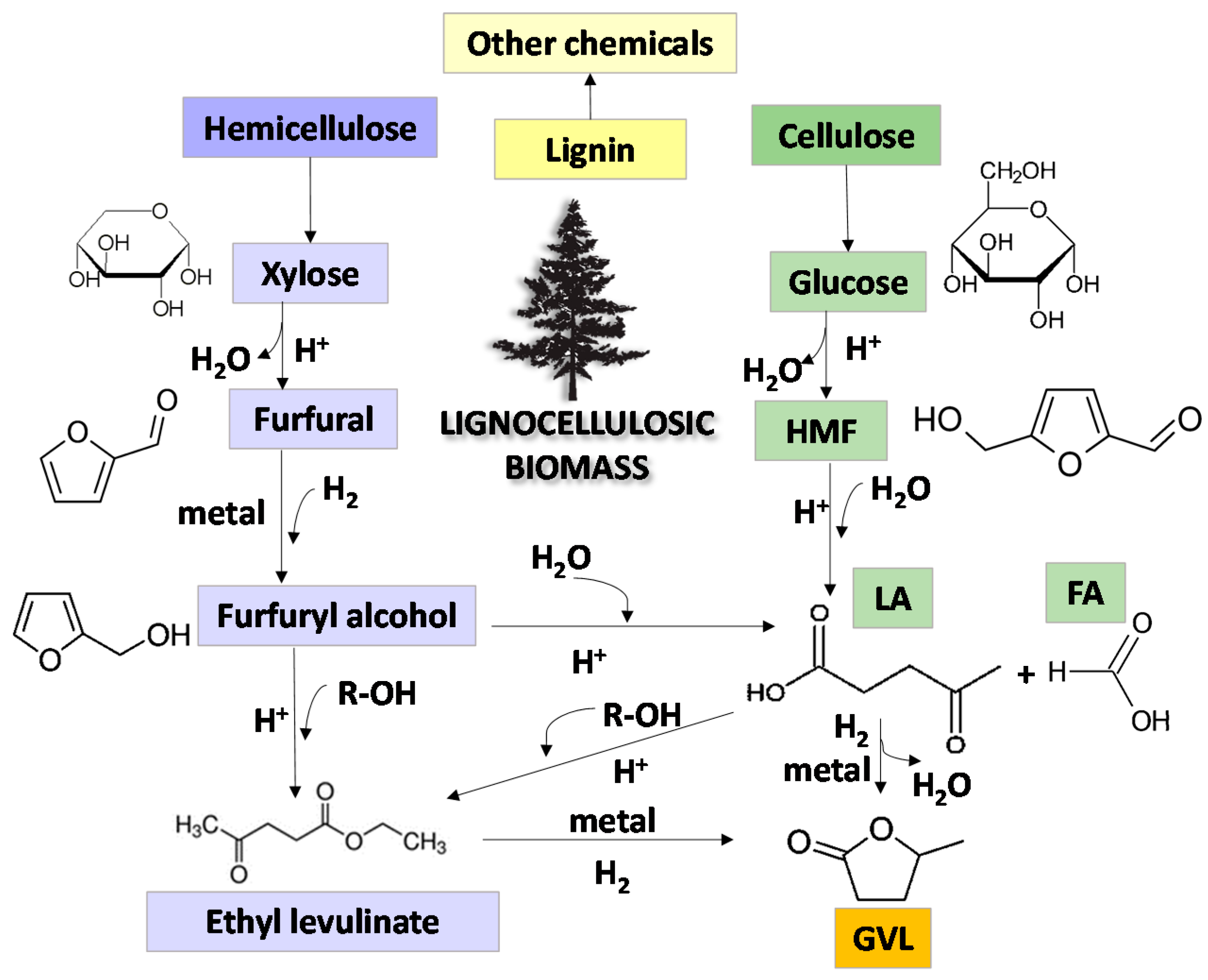 Catalysts 11 00559 g001
