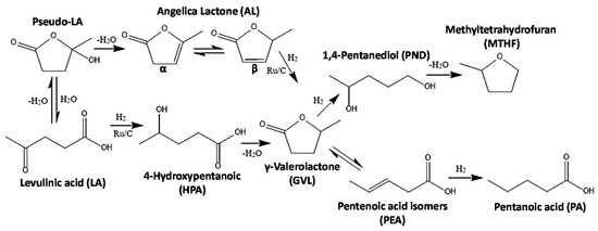 Catalysts 11 00559 g002