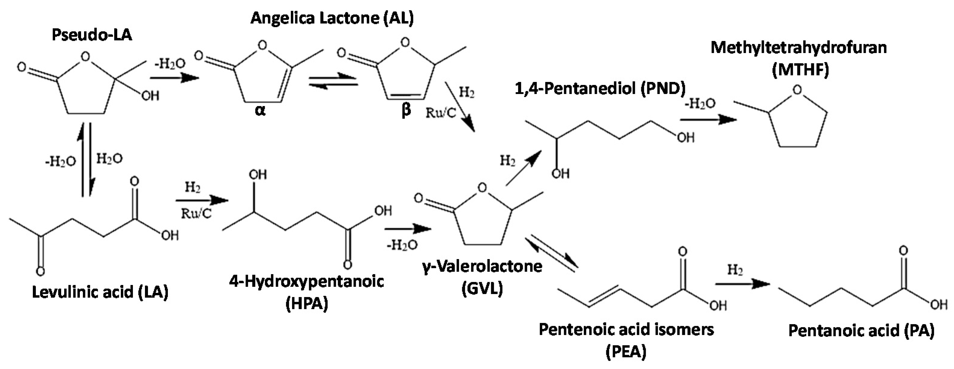 Catalysts 11 00559 g002