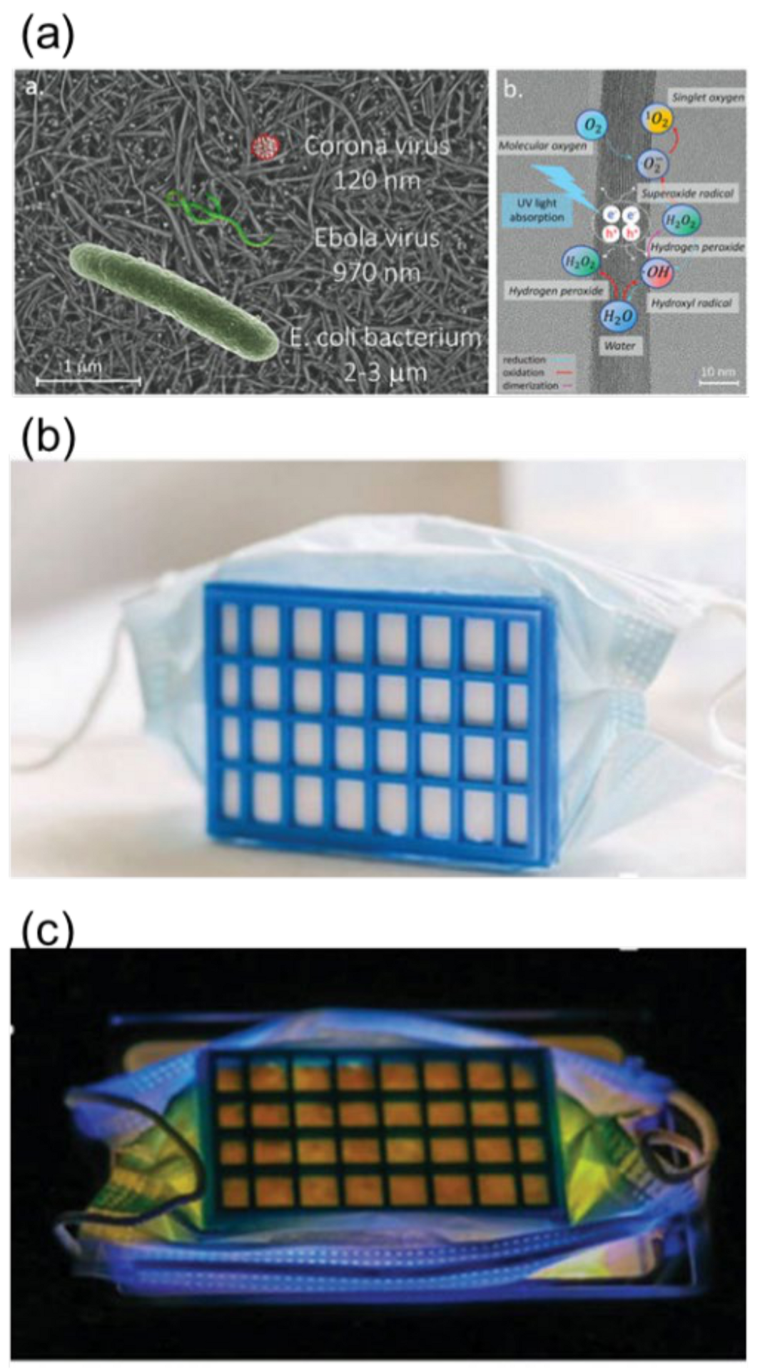 Catalysts 11 00562 g005 Catalysts 11 00562 g005