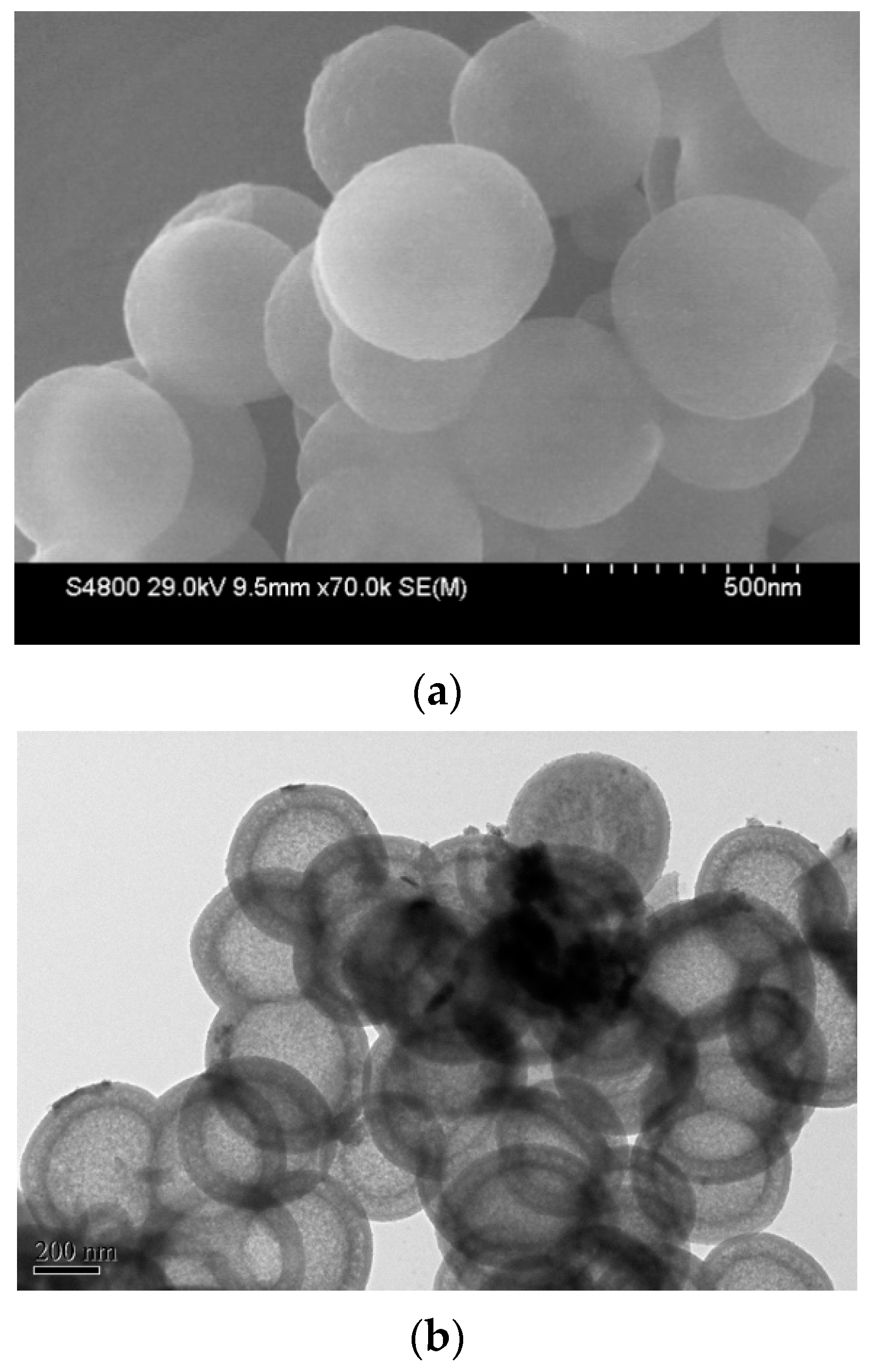 Catalysts 11 00582 g005a Catalysts 11 00582 g005a