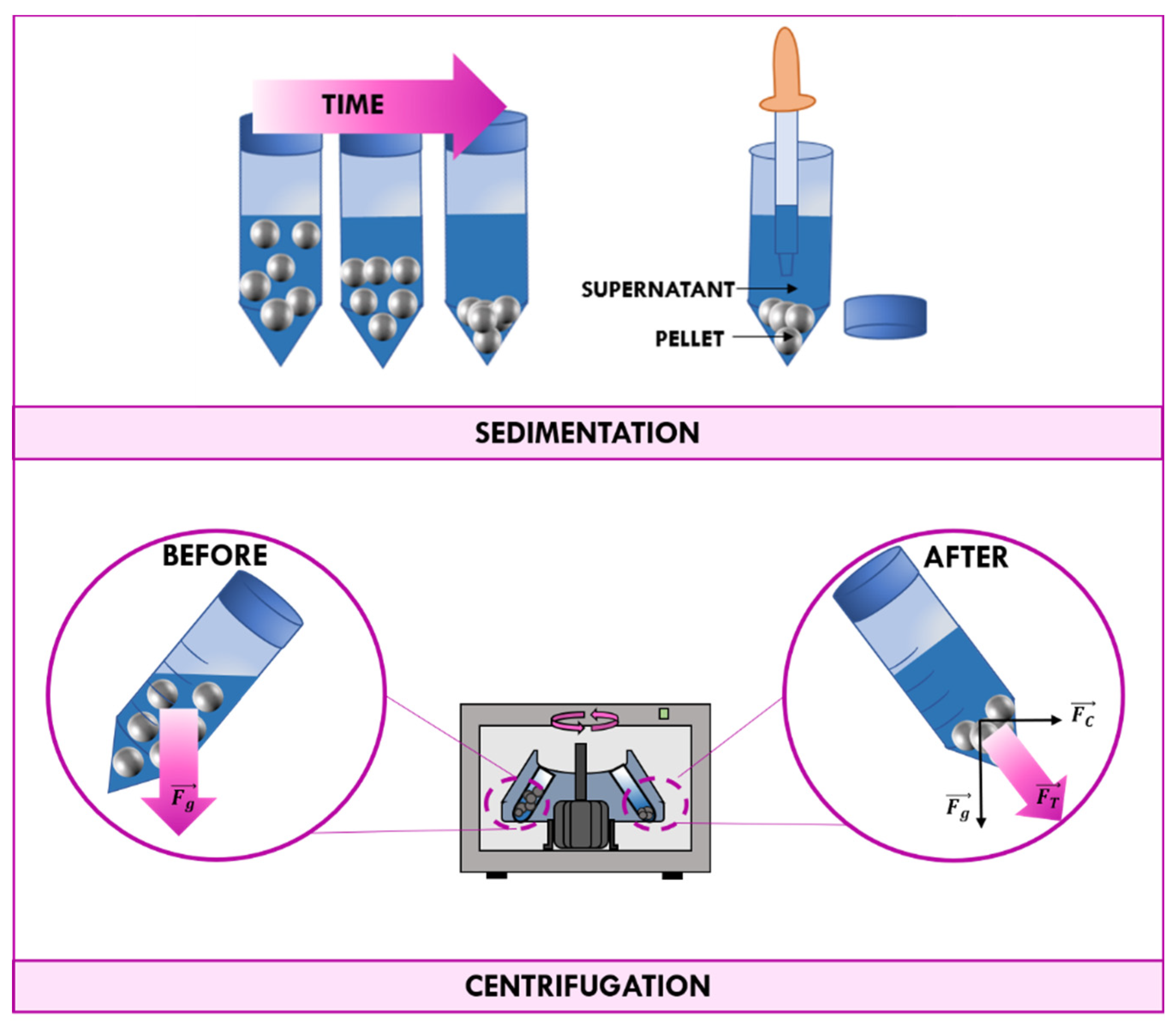 Catalysts 11 00591 g003
