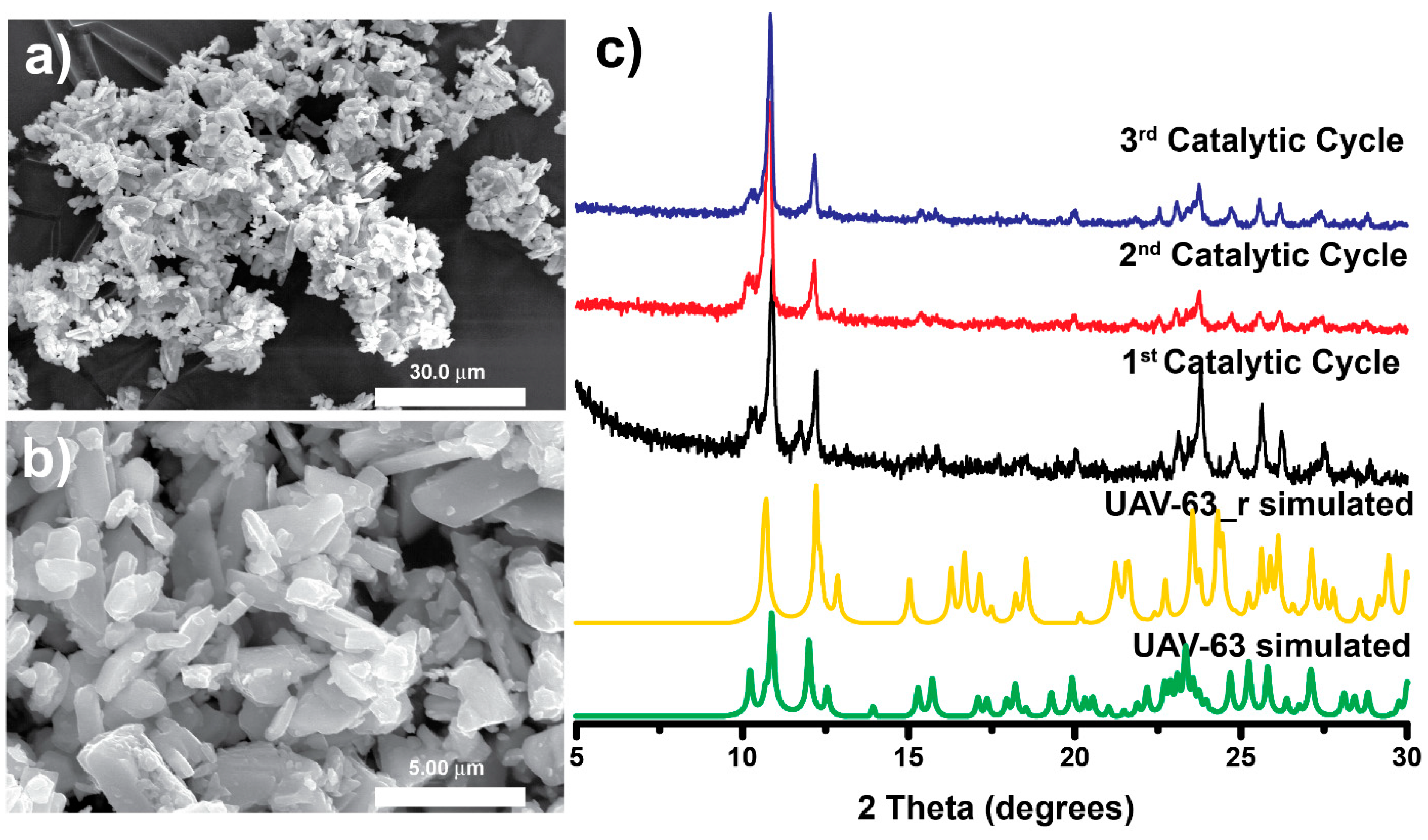 Catalysts 11 00598 g004