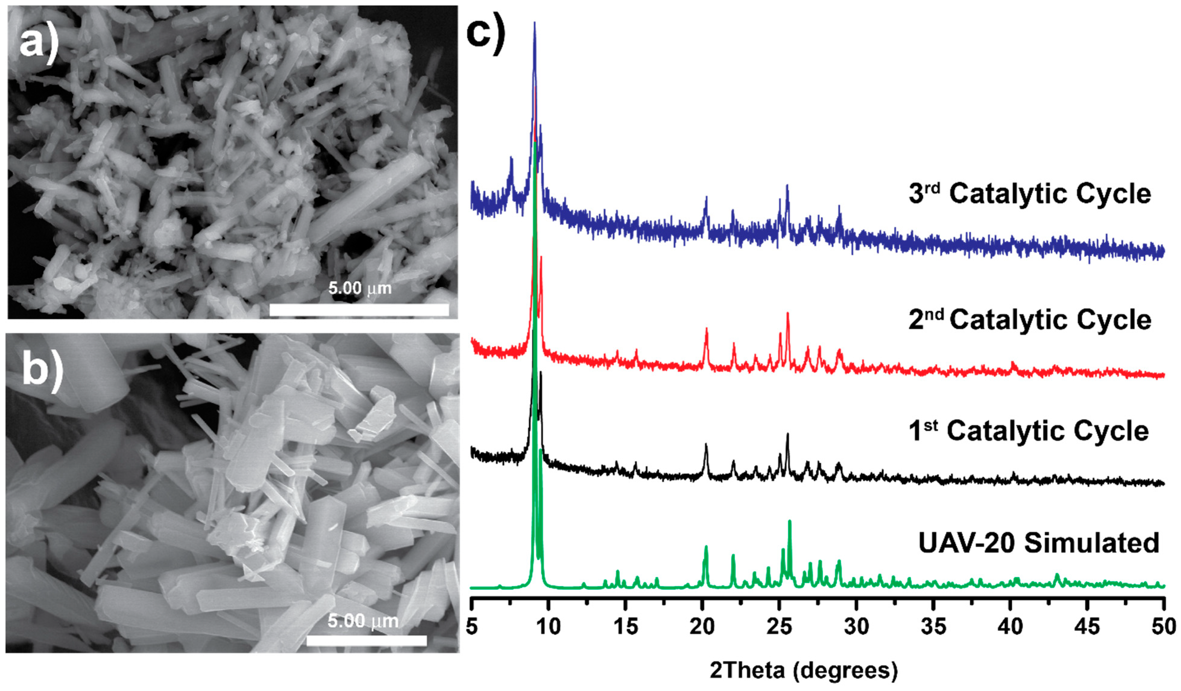 Catalysts 11 00598 g005