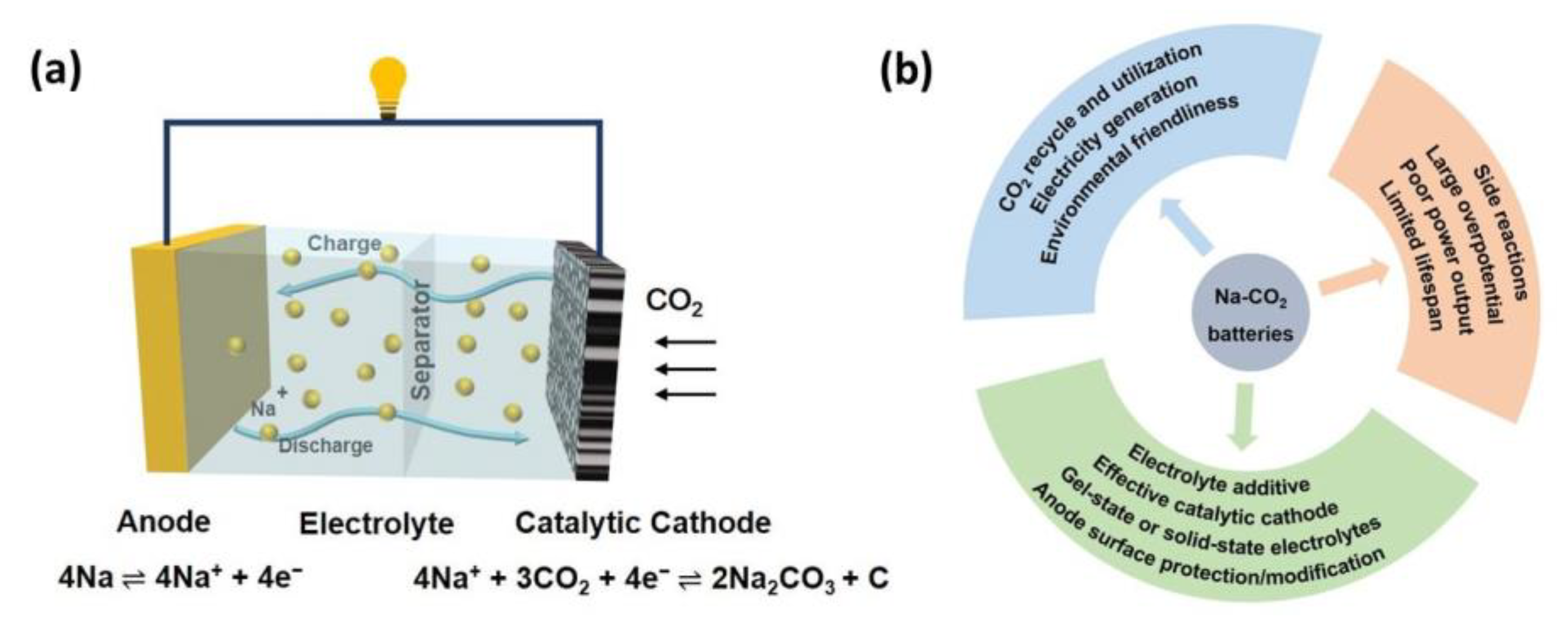 Catalysts 11 00603 g001 Catalysts 11 00603 g001