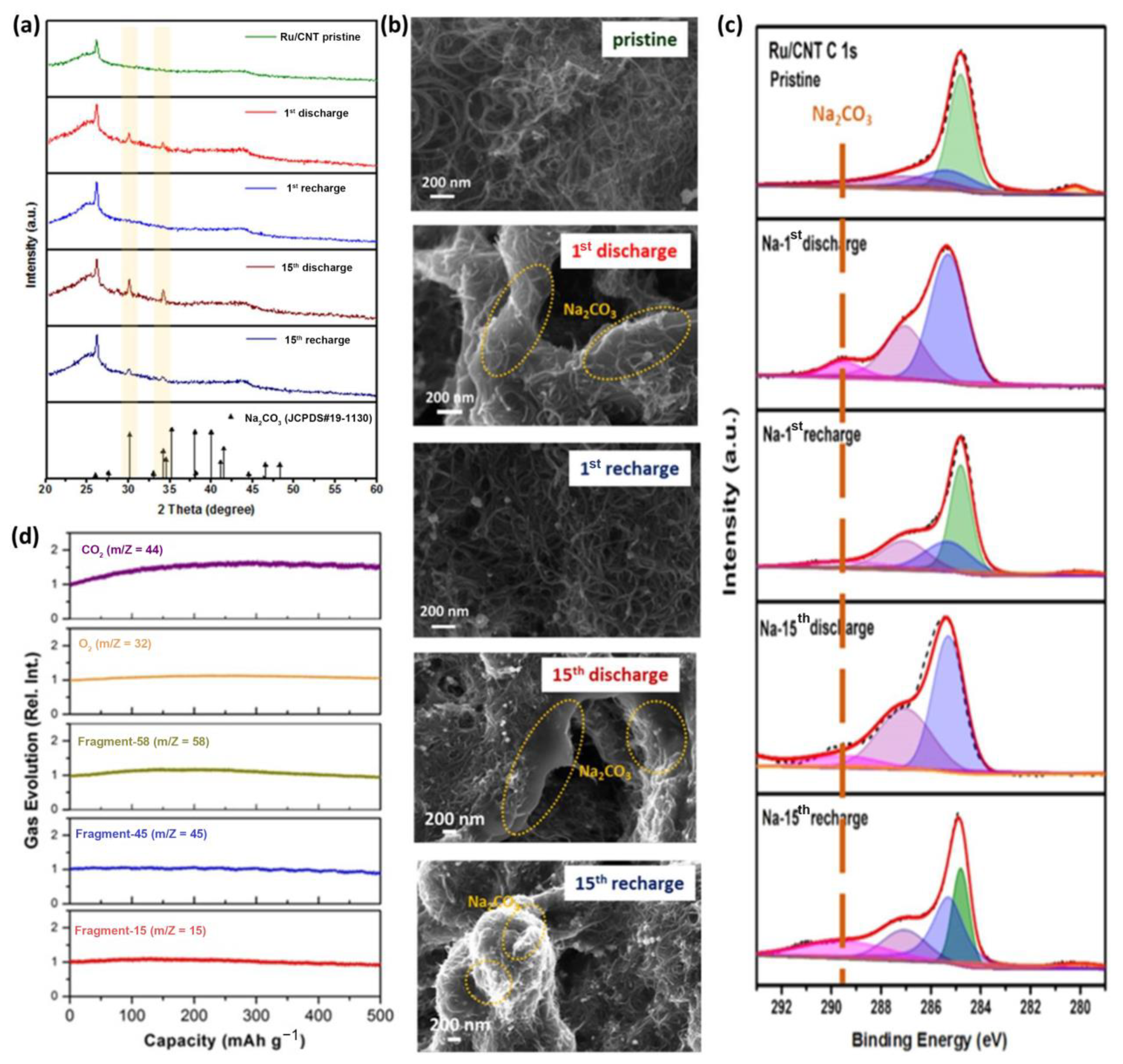 Catalysts 11 00603 g005 Catalysts 11 00603 g005
