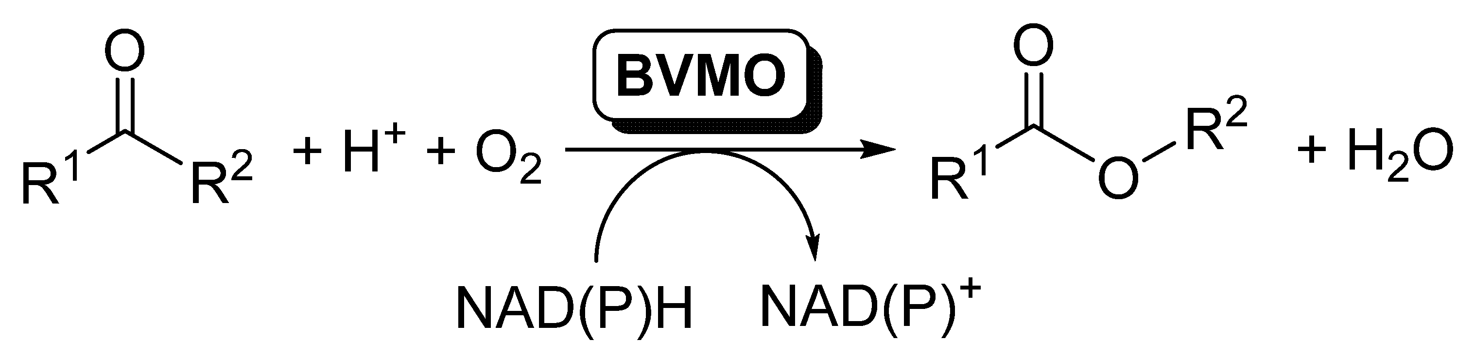 Catalysts 11 00605 sch001