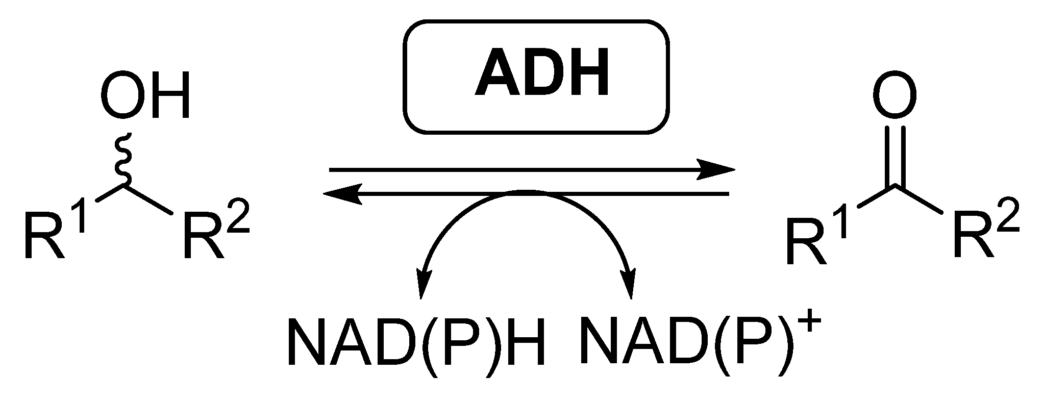 Catalysts 11 00605 sch002