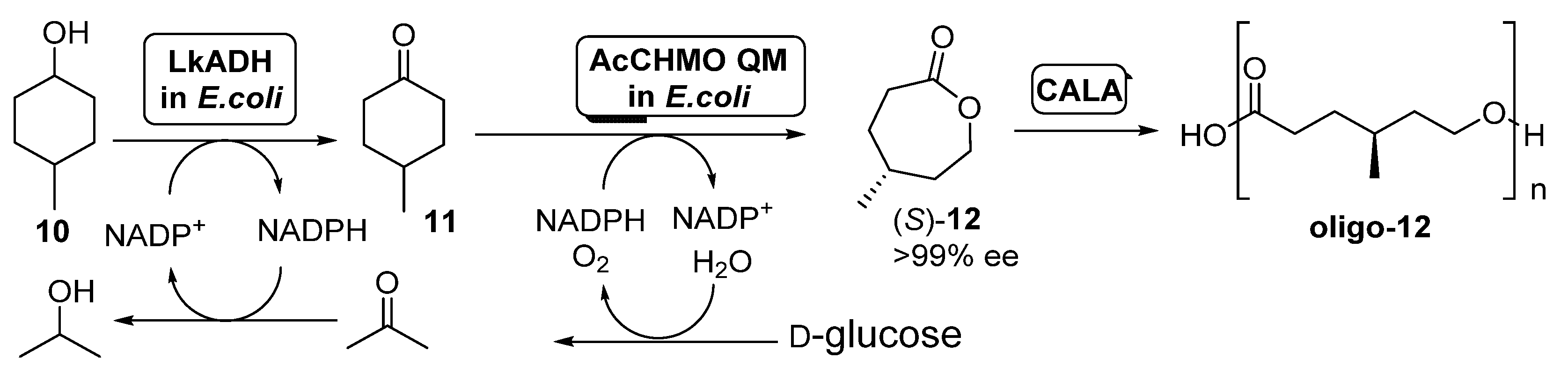 Catalysts 11 00605 sch005