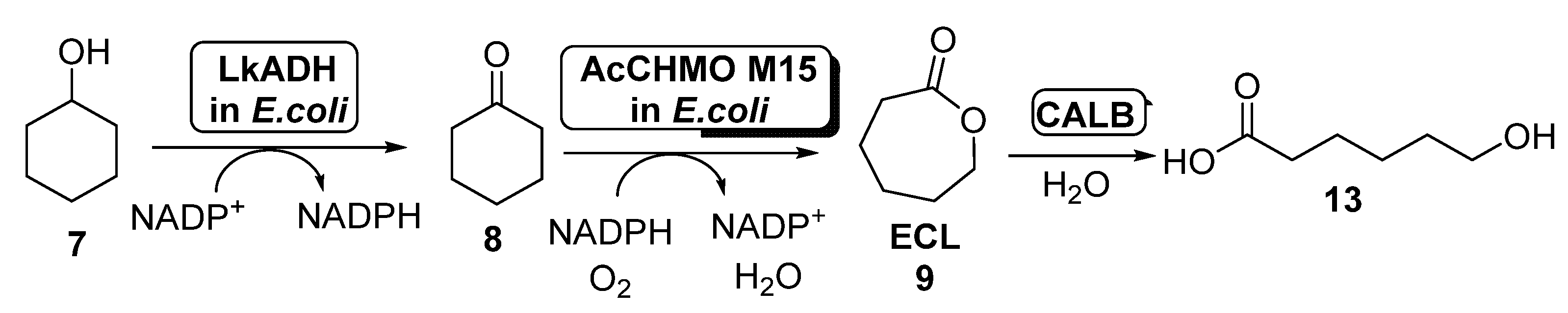 Catalysts 11 00605 sch006