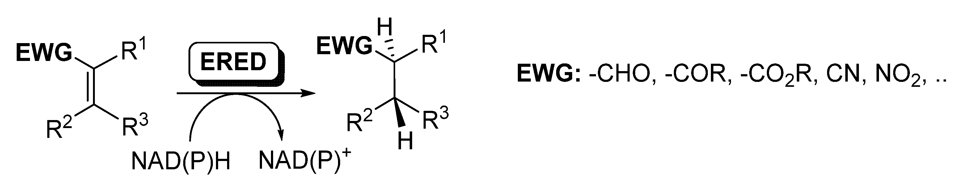 Catalysts 11 00605 sch008