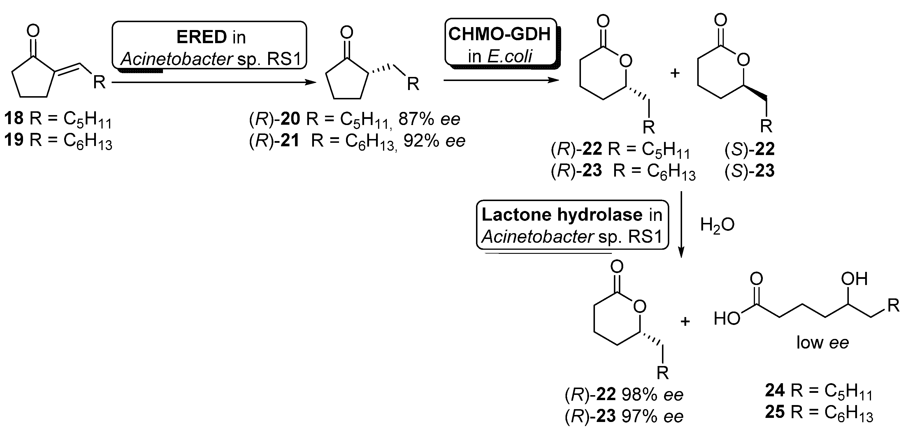 Catalysts 11 00605 sch010