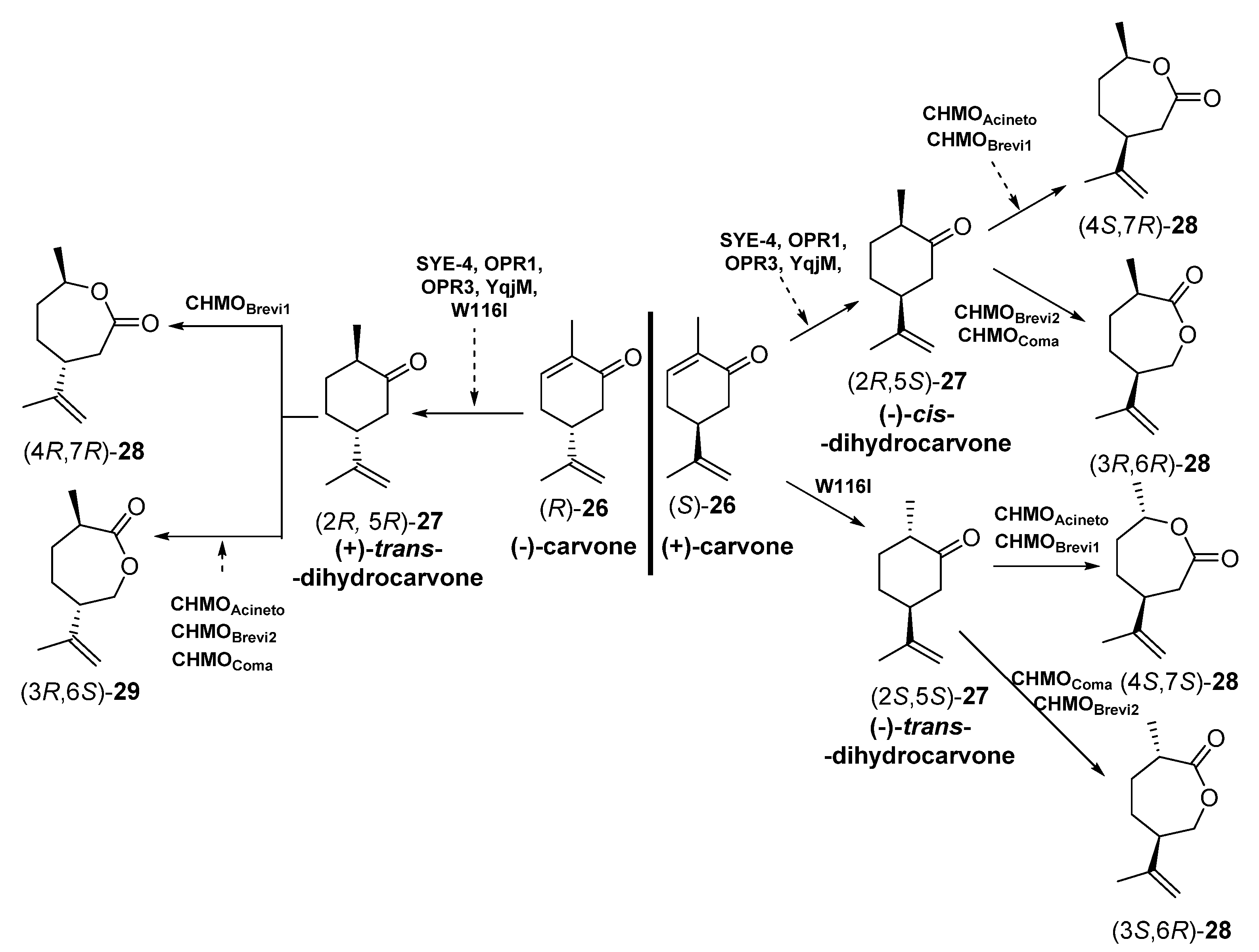 Catalysts 11 00605 sch011