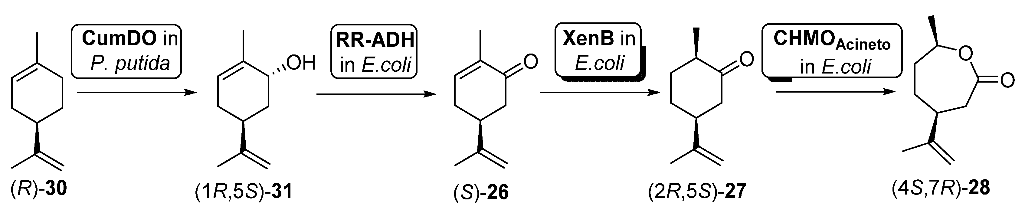 Catalysts 11 00605 sch012