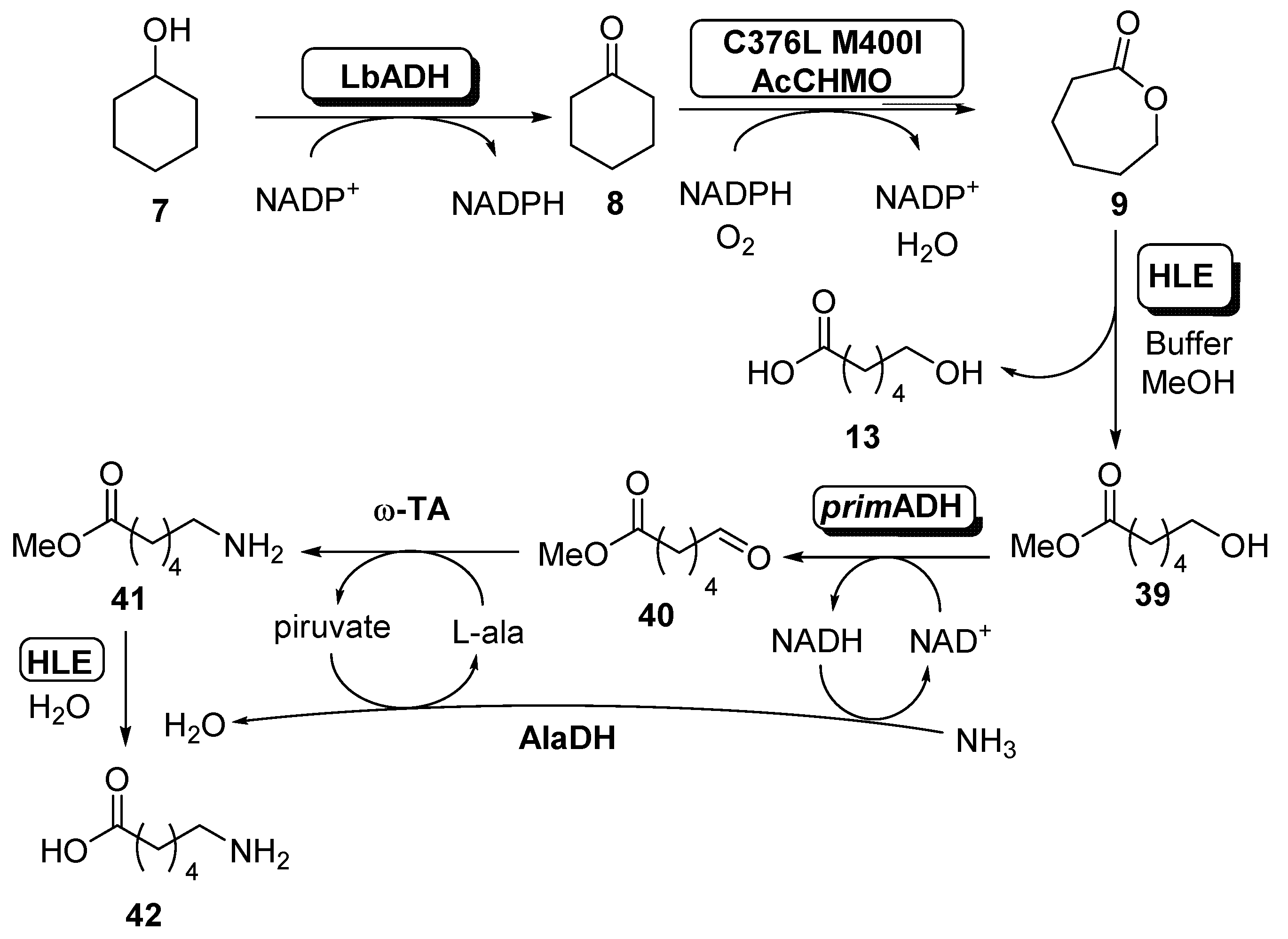 Catalysts 11 00605 sch016