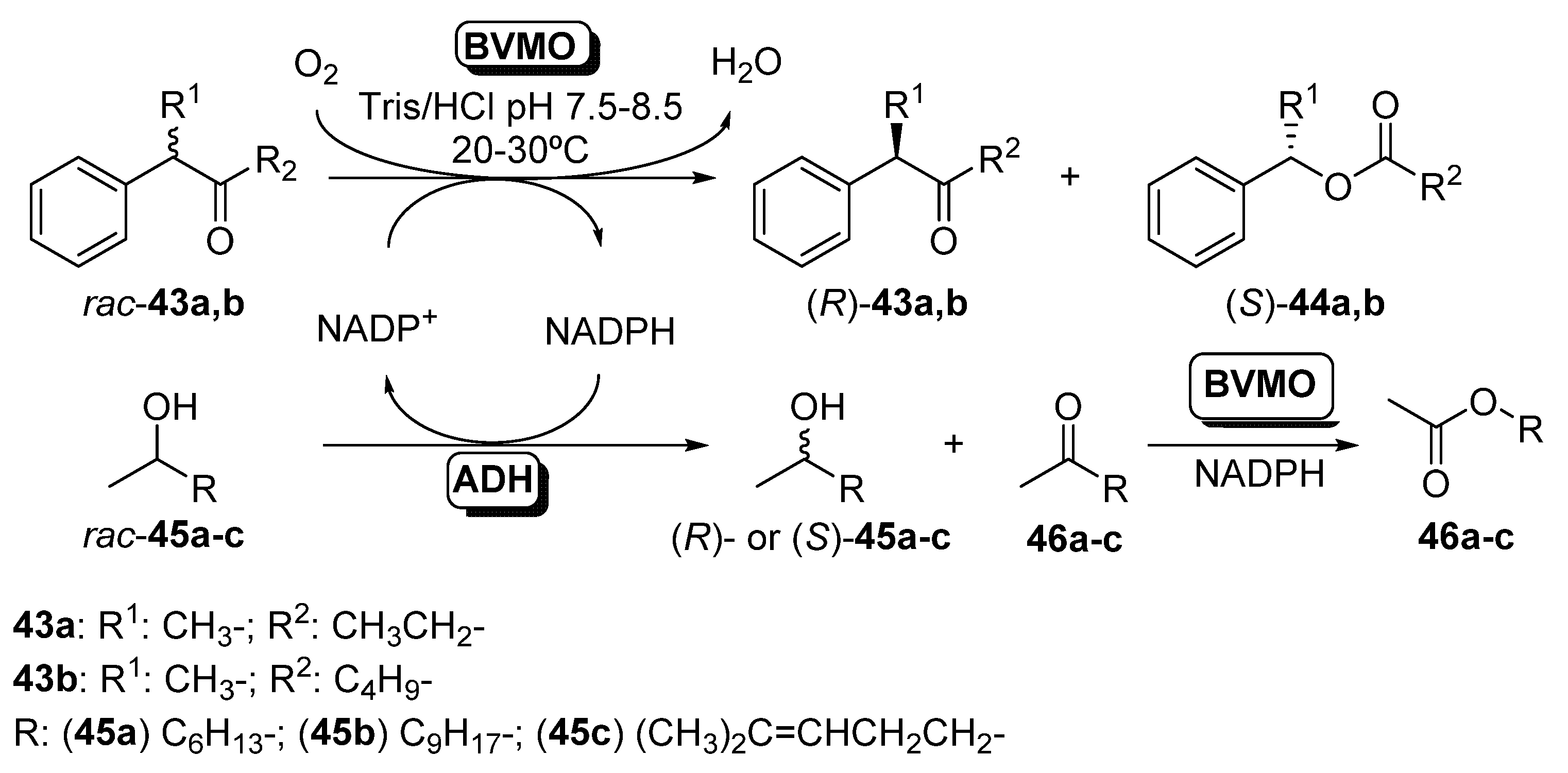 Catalysts 11 00605 sch017