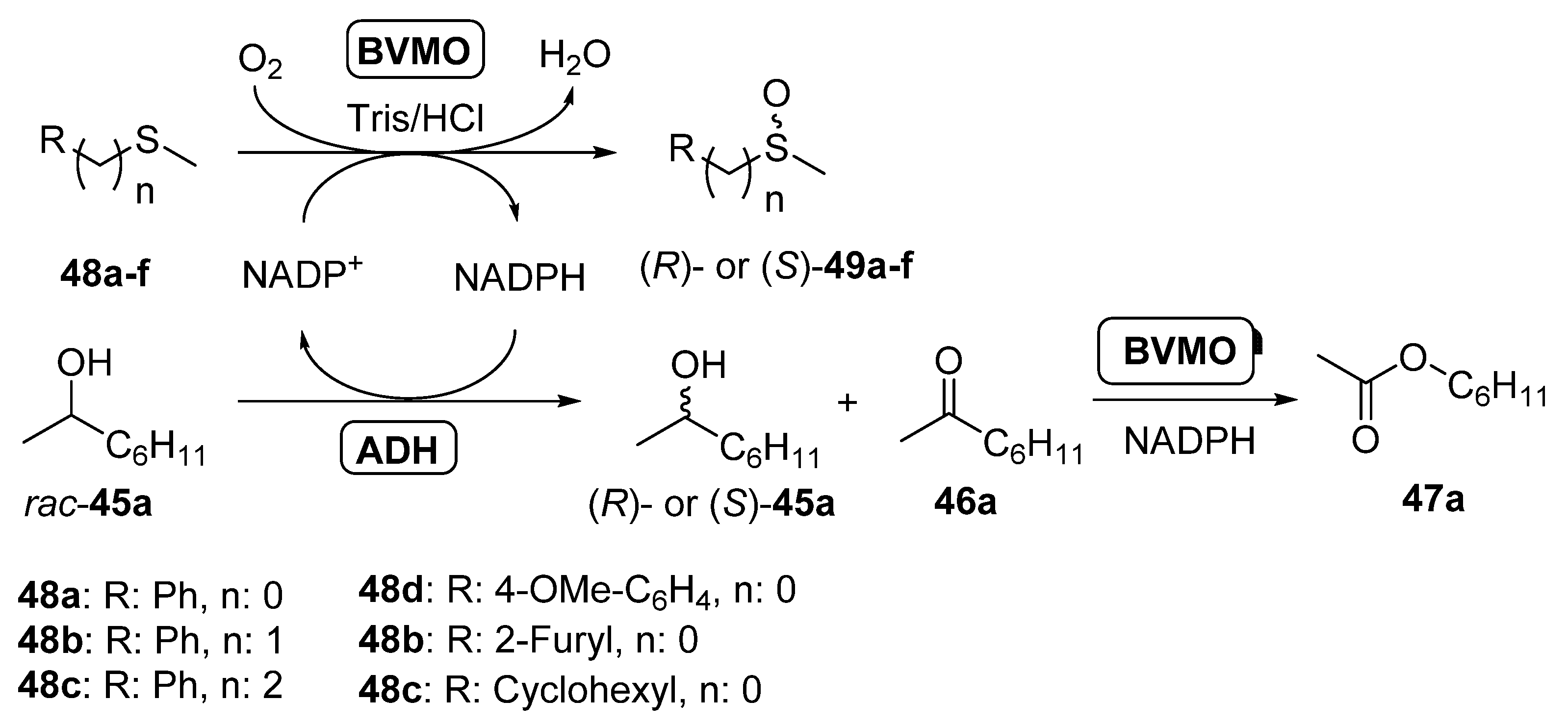 Catalysts 11 00605 sch018
