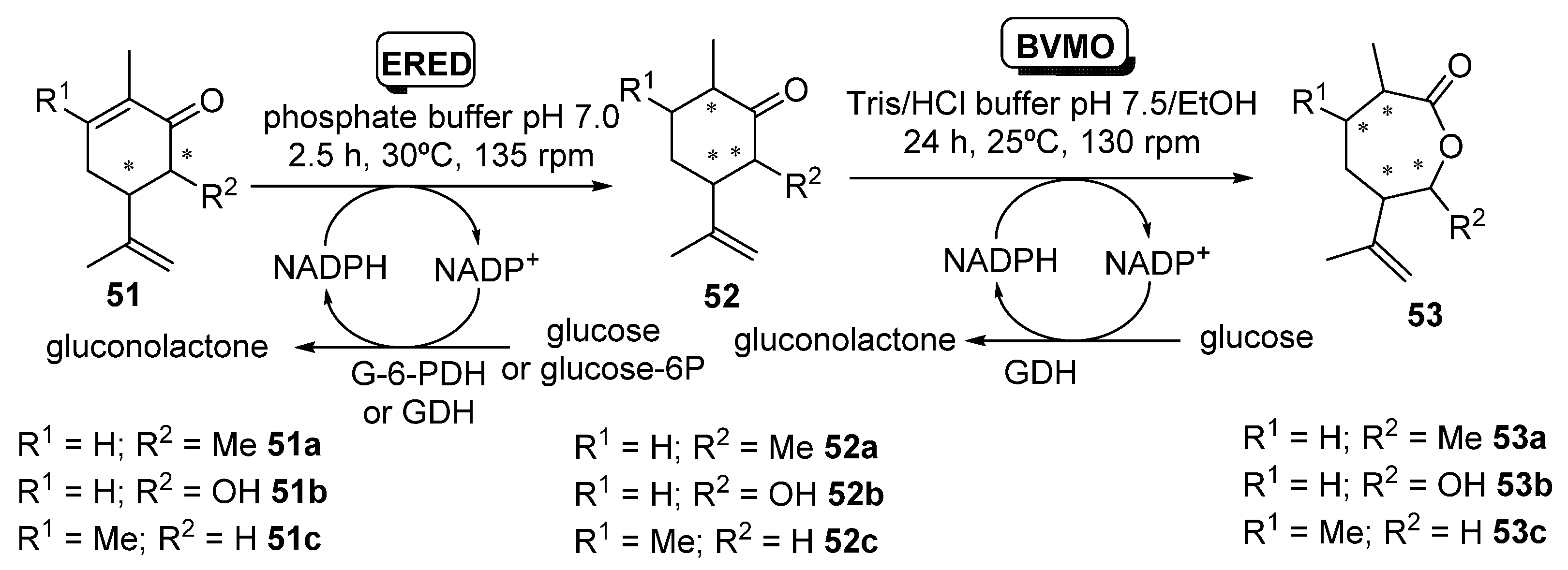 Catalysts 11 00605 sch020