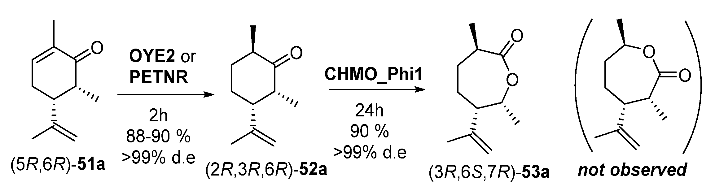 Catalysts 11 00605 sch021