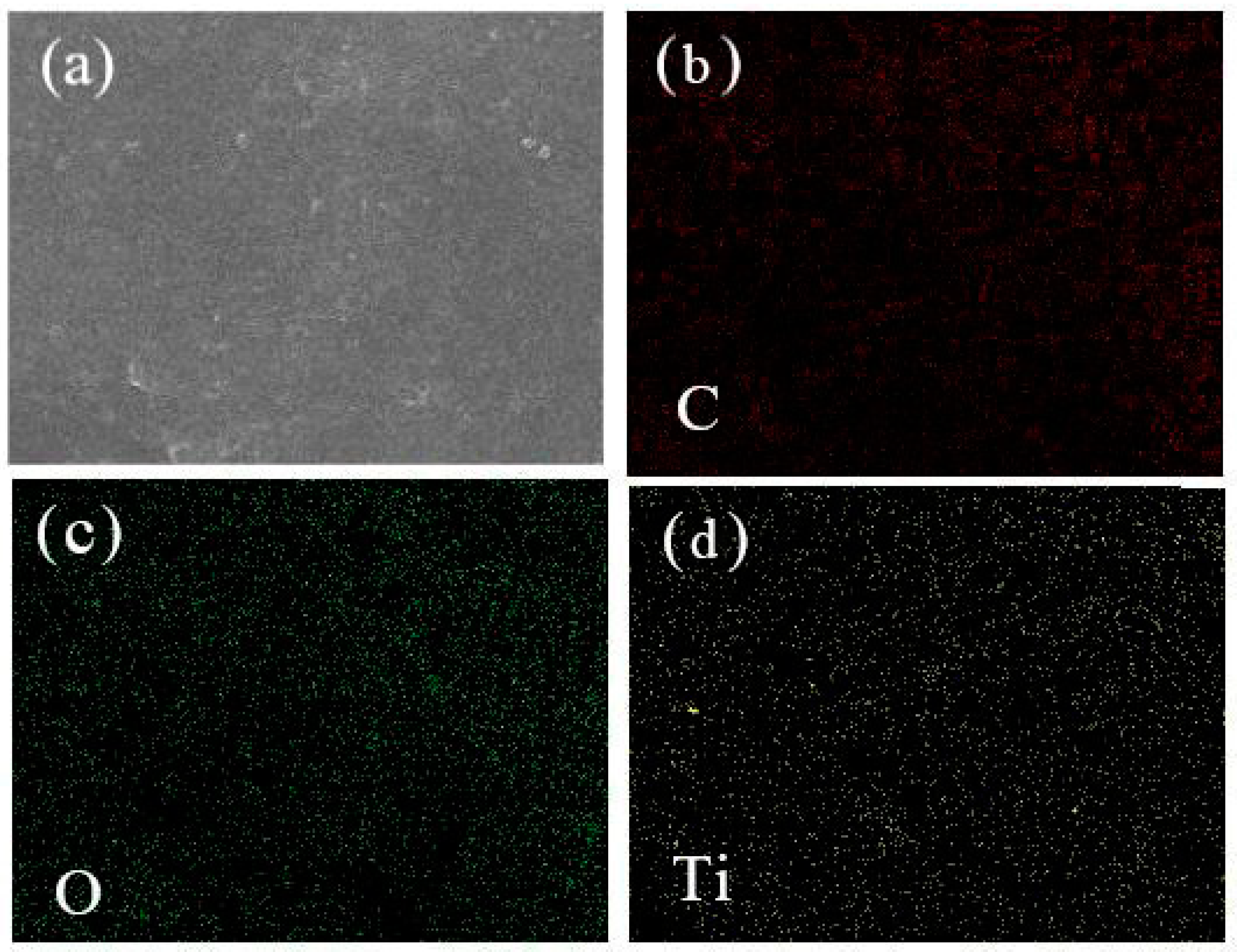 Catalysts 11 00613 g002