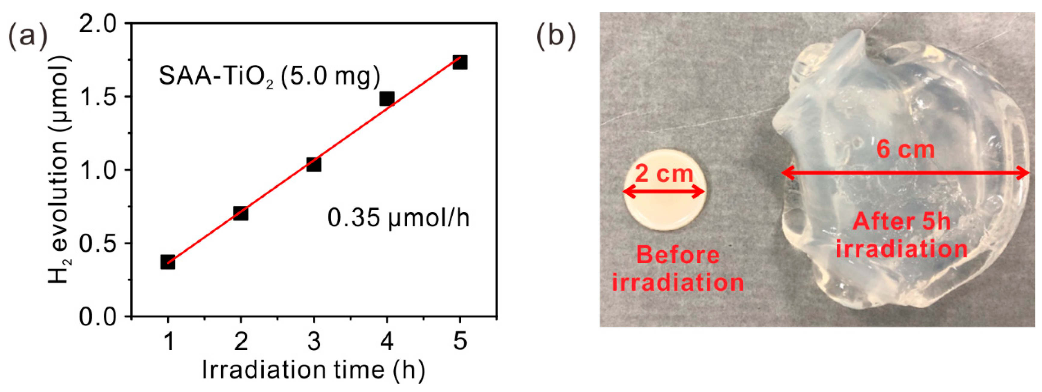 Catalysts 11 00613 g006