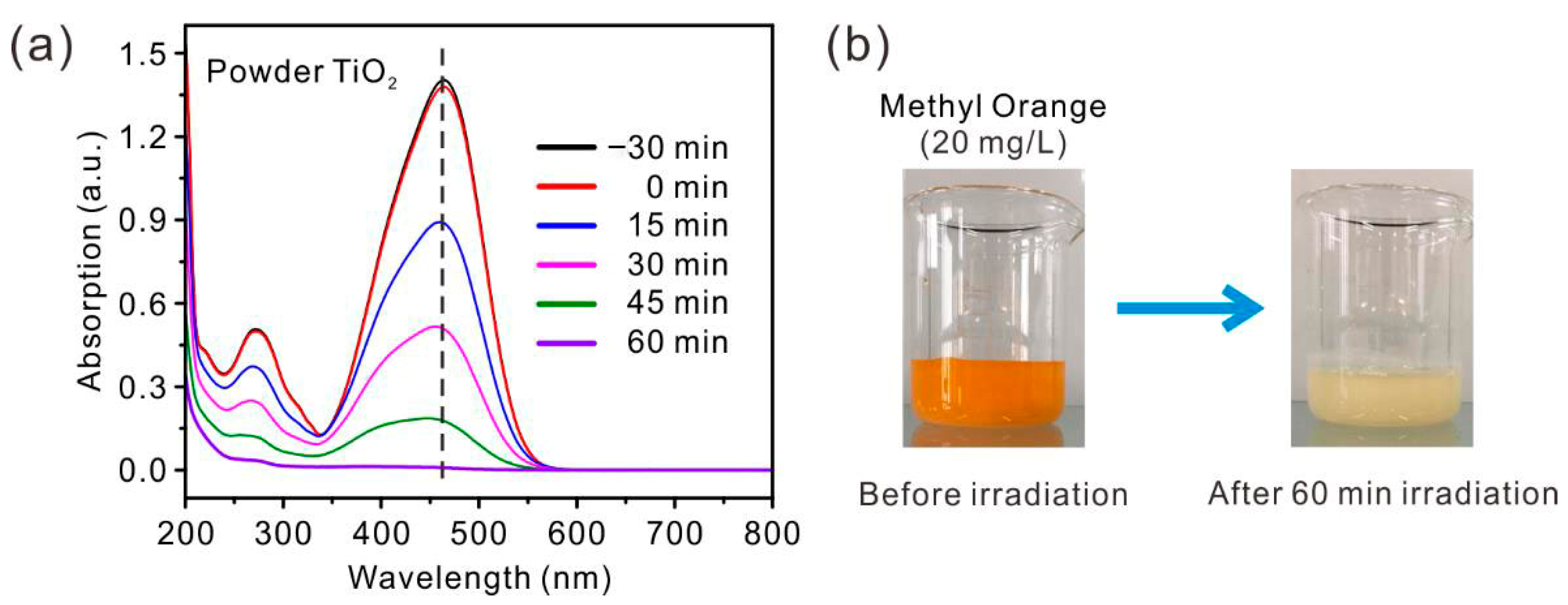 Catalysts 11 00613 g007