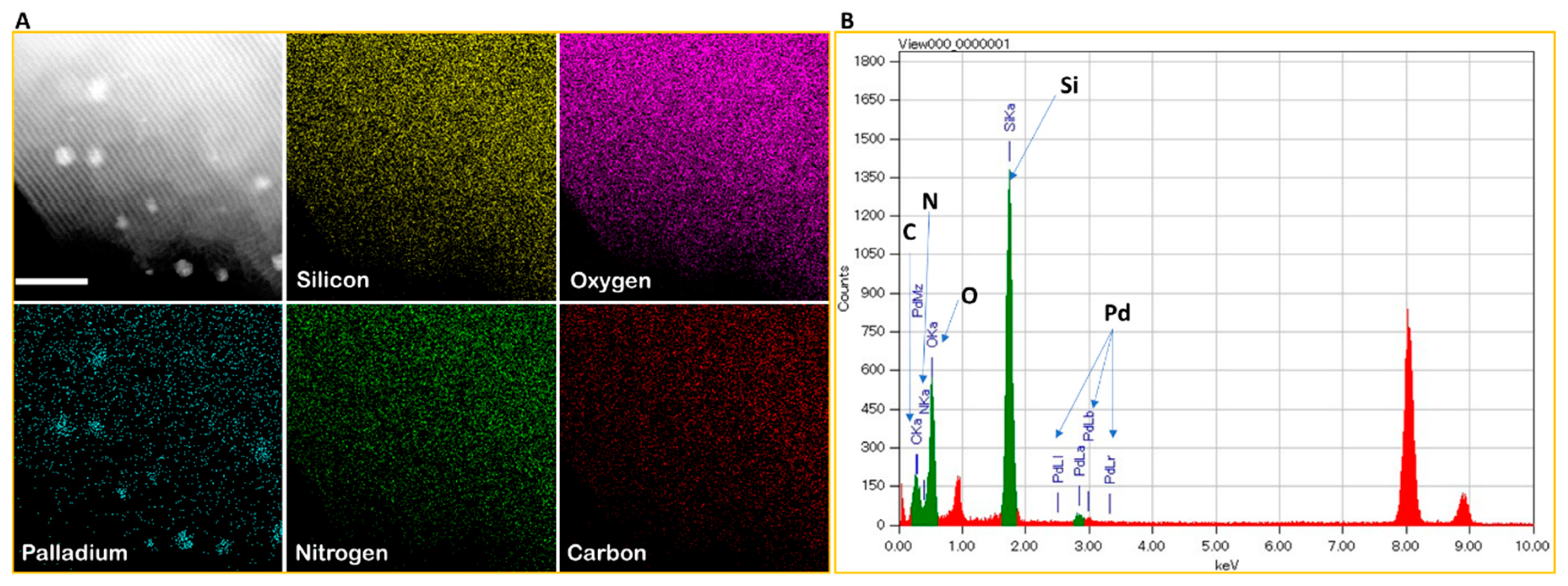 Catalysts 11 00621 g005