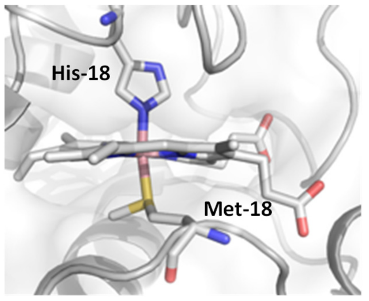 Catalysts 11 00626 g001