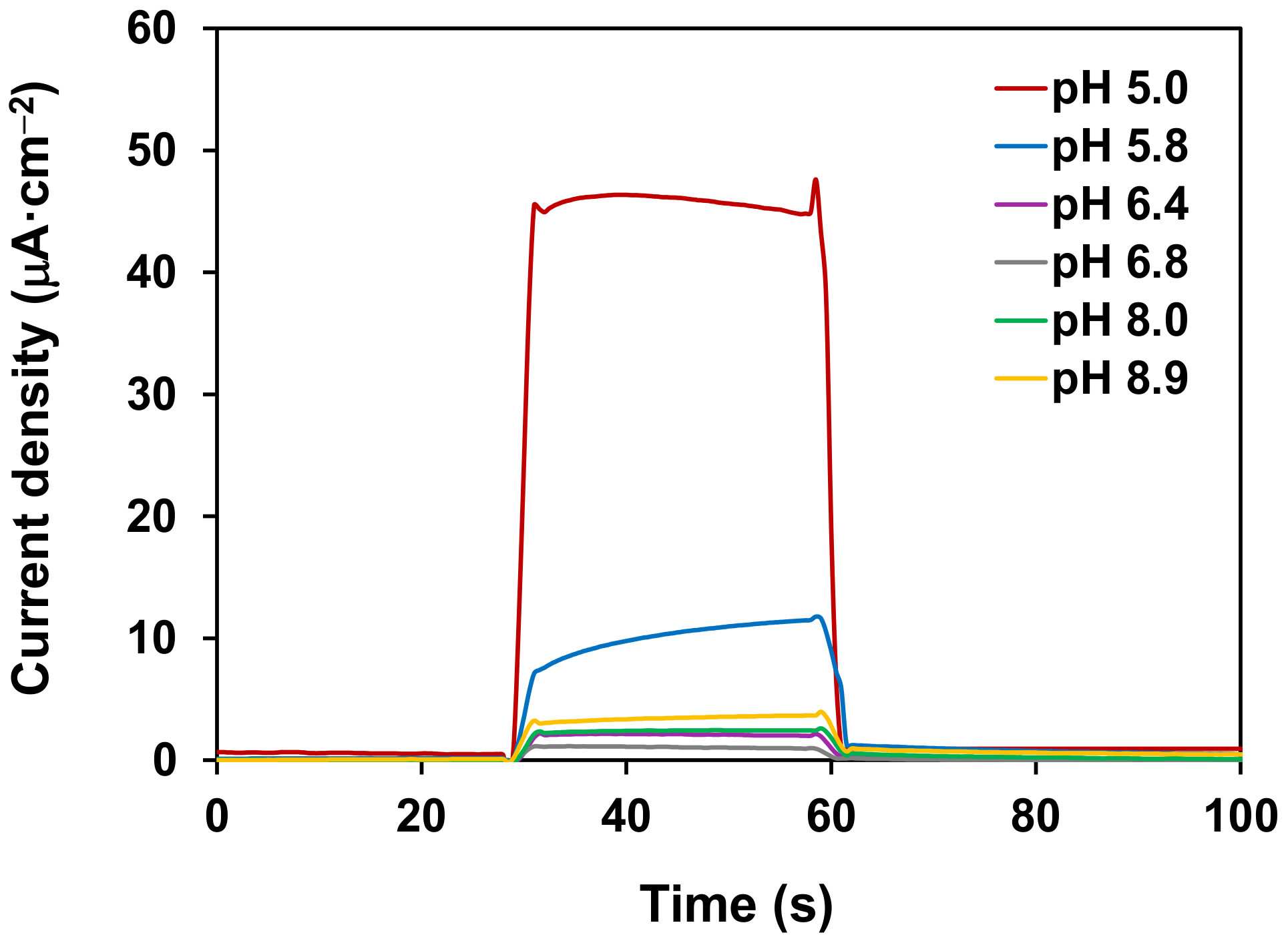 Catalysts 11 00626 g004
