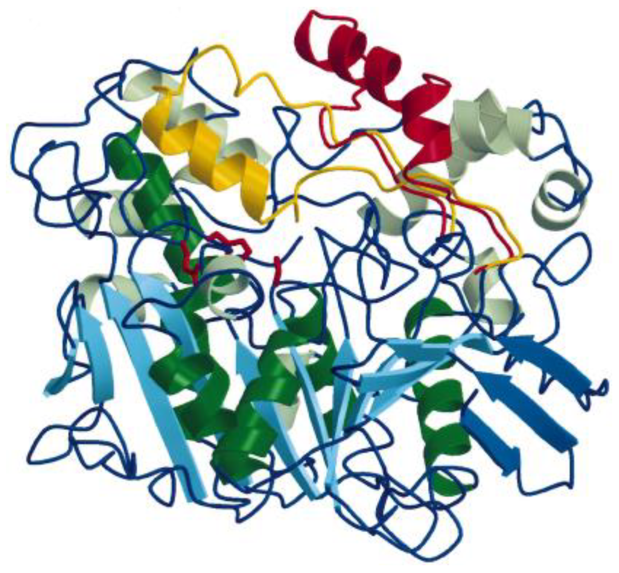 Catalysts 11 00629 g001 Catalysts 11 00629 g001