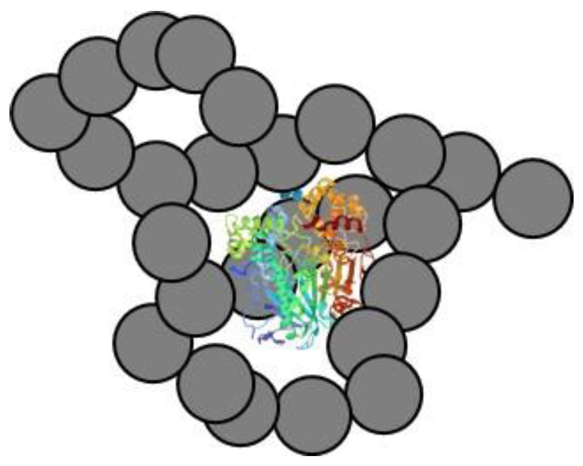Catalysts 11 00629 g002 Catalysts 11 00629 g002